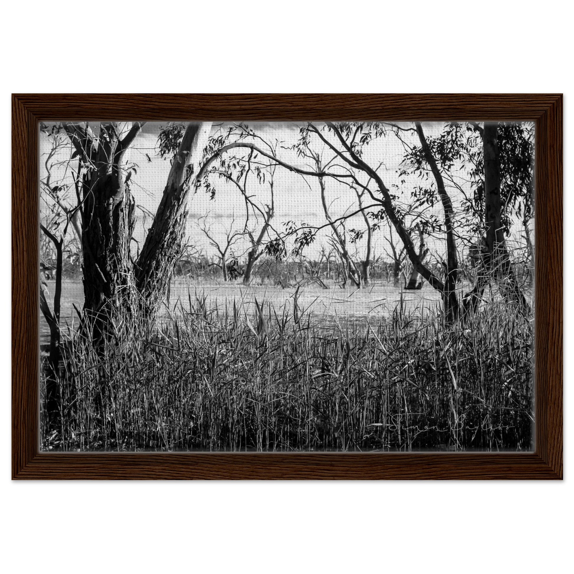 a1334d4d-3782-45c2-beaa-2e7be77b2369