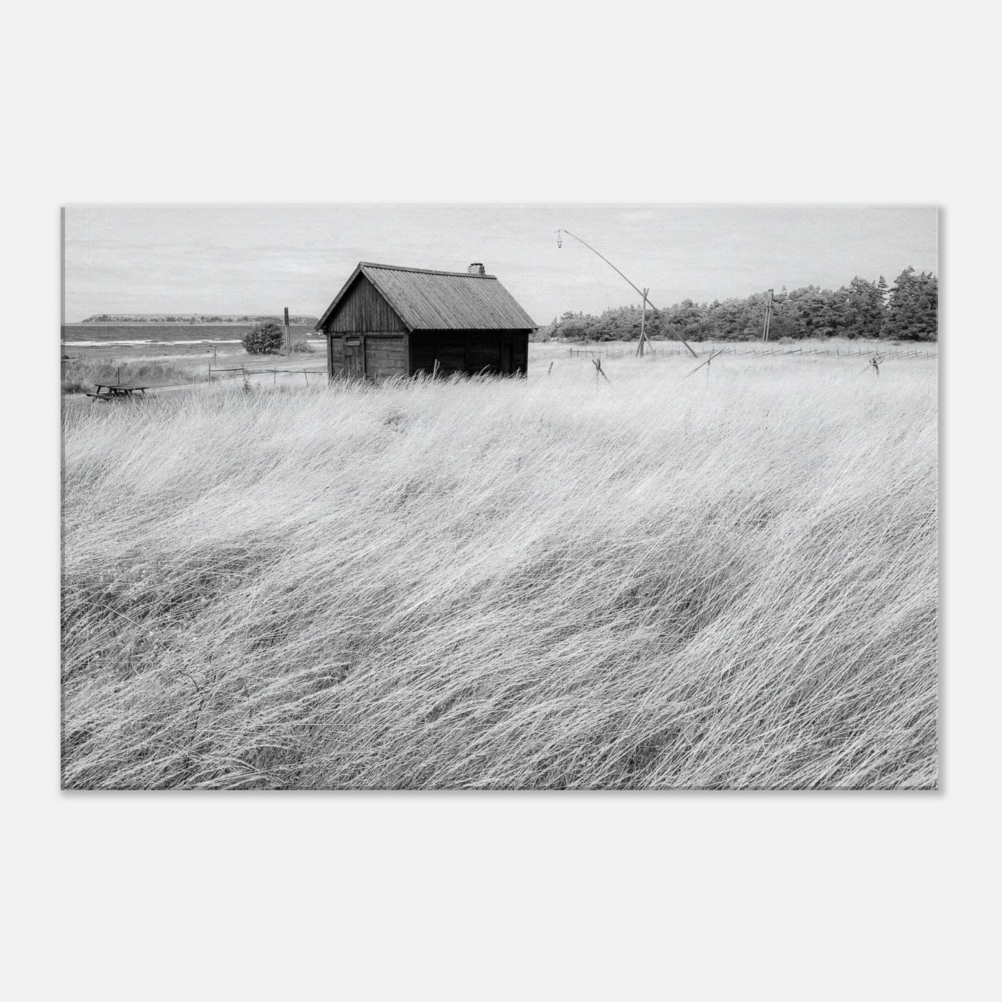 a1370b14-8619-472c-bded-b6cb76c0a9ec