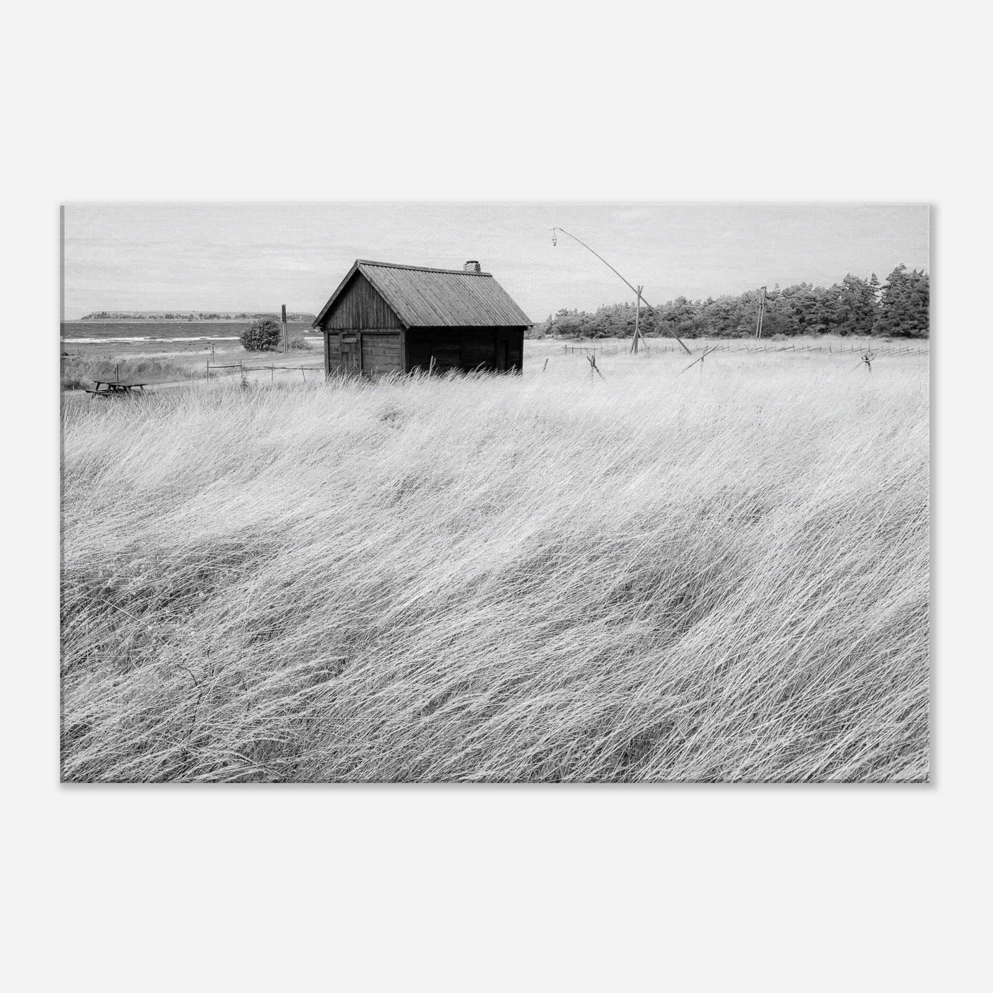 a1370b14-8619-472c-bded-b6cb76c0a9ec