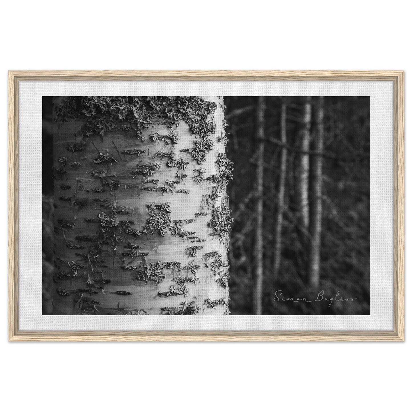 a15b9b2f-3ca2-41a8-87f2-4a19d99470da