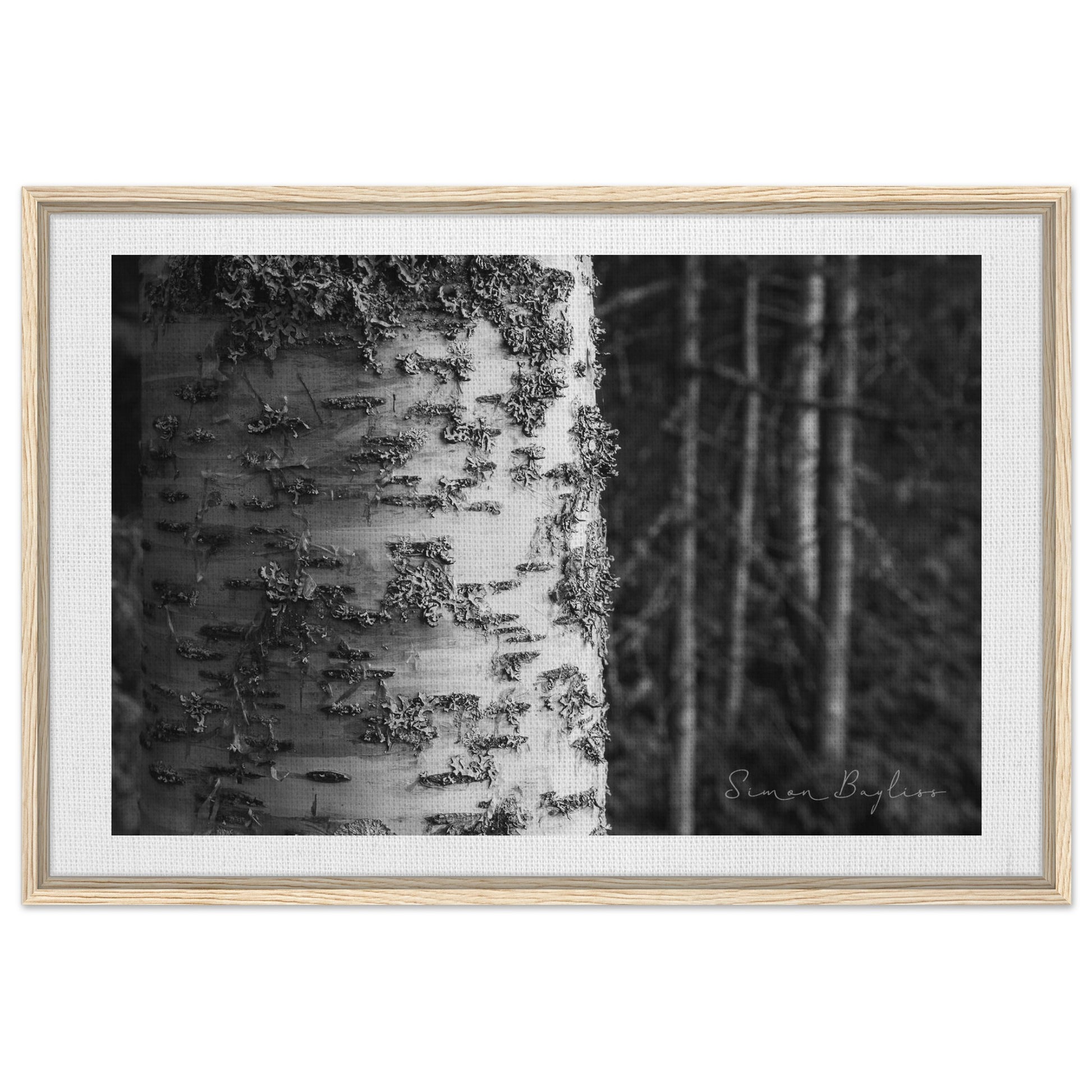 a15b9b2f-3ca2-41a8-87f2-4a19d99470da