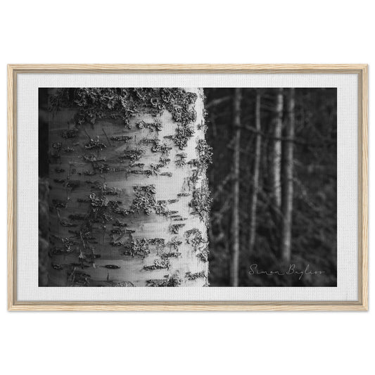 a15b9b2f-3ca2-41a8-87f2-4a19d99470da