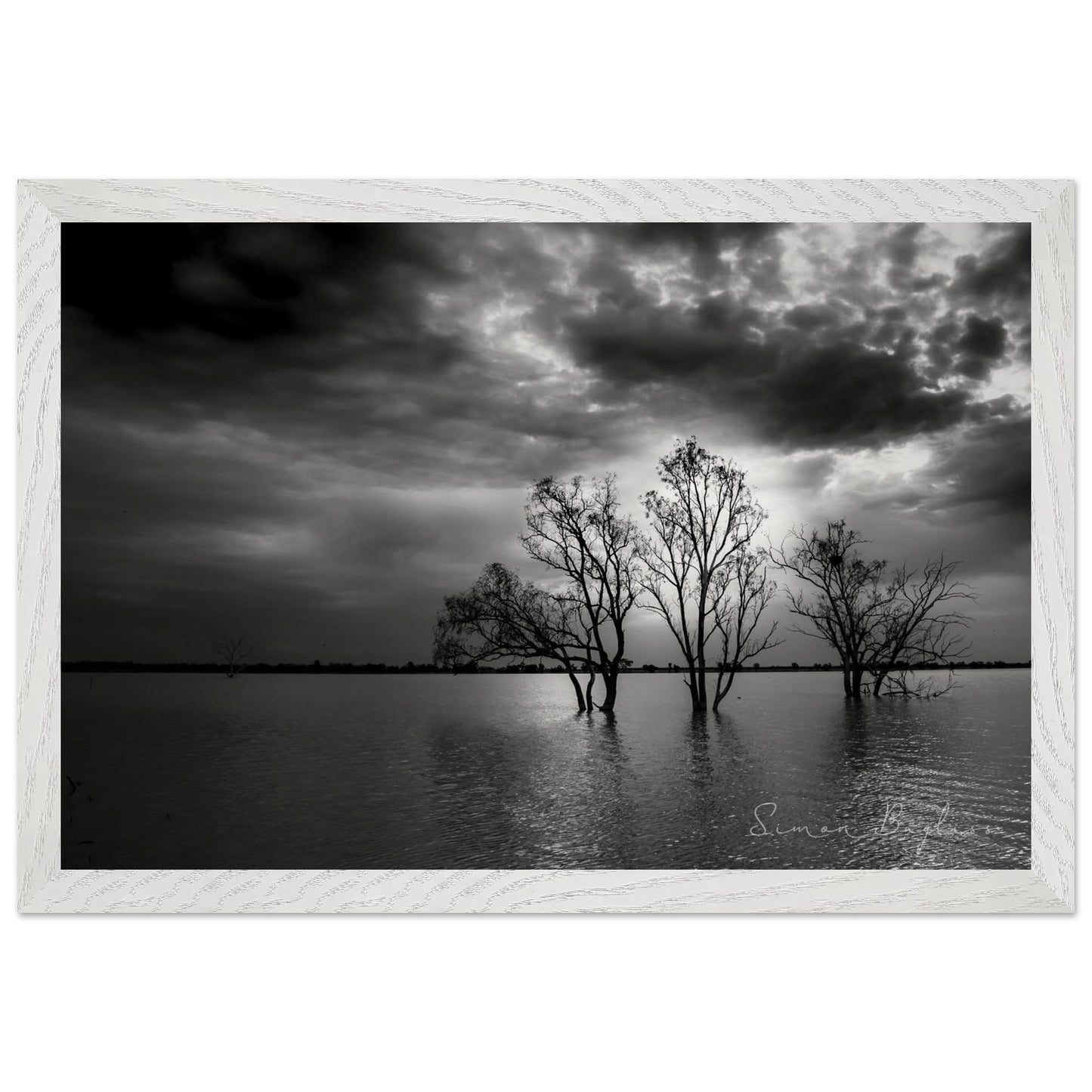 a1e474d4-99ae-4606-a445-9cbeeeee19ba