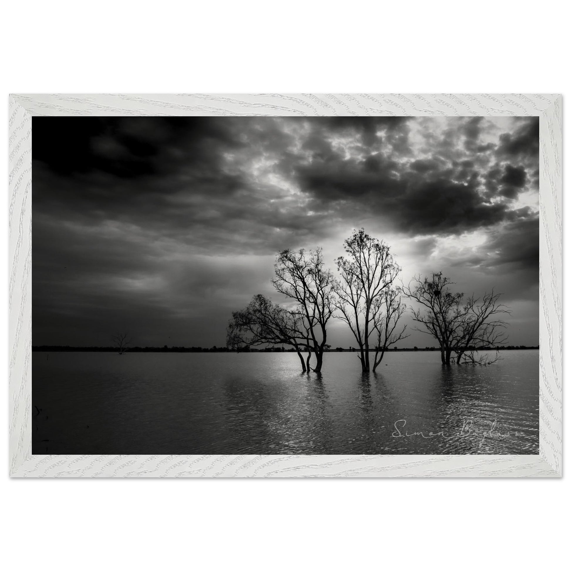 a1e474d4-99ae-4606-a445-9cbeeeee19ba