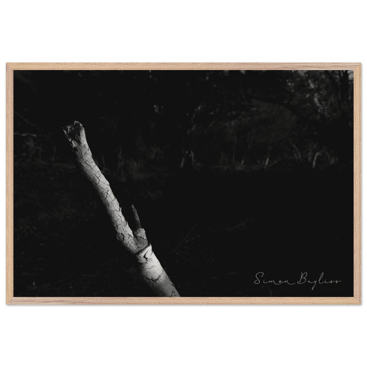 a1fe408d-04b6-43ae-af21-f405ad68c5ef