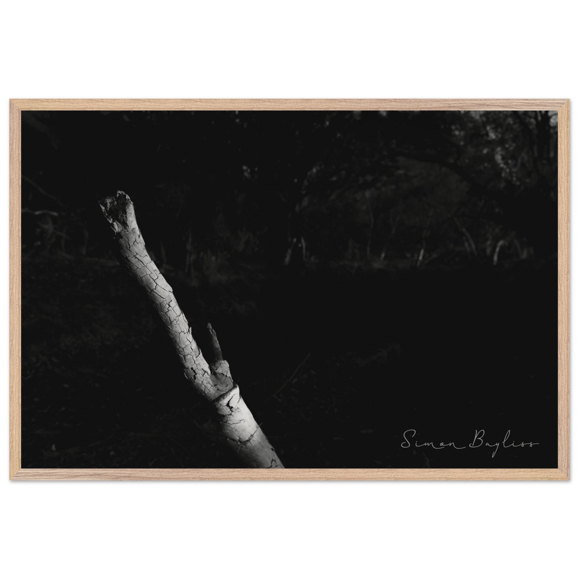 a1fe408d-04b6-43ae-af21-f405ad68c5ef