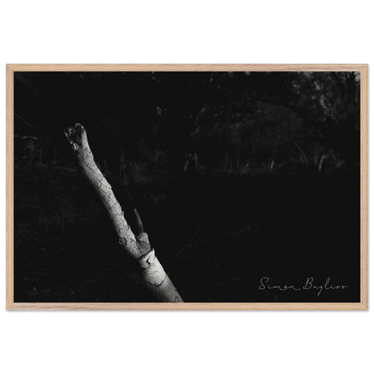 a1fe408d-04b6-43ae-af21-f405ad68c5ef