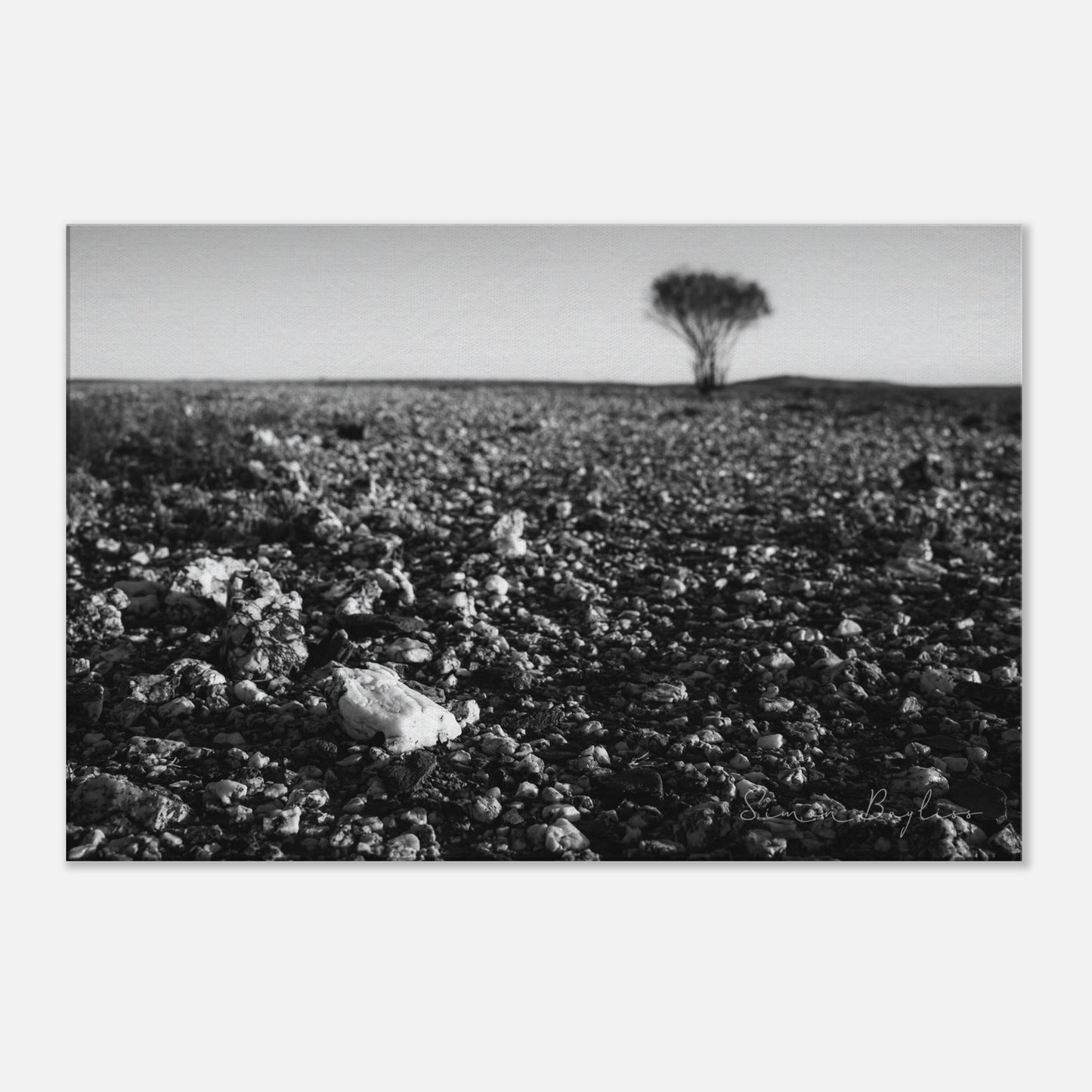 a204ee18-329d-4b49-9421-780f1b40a4ad