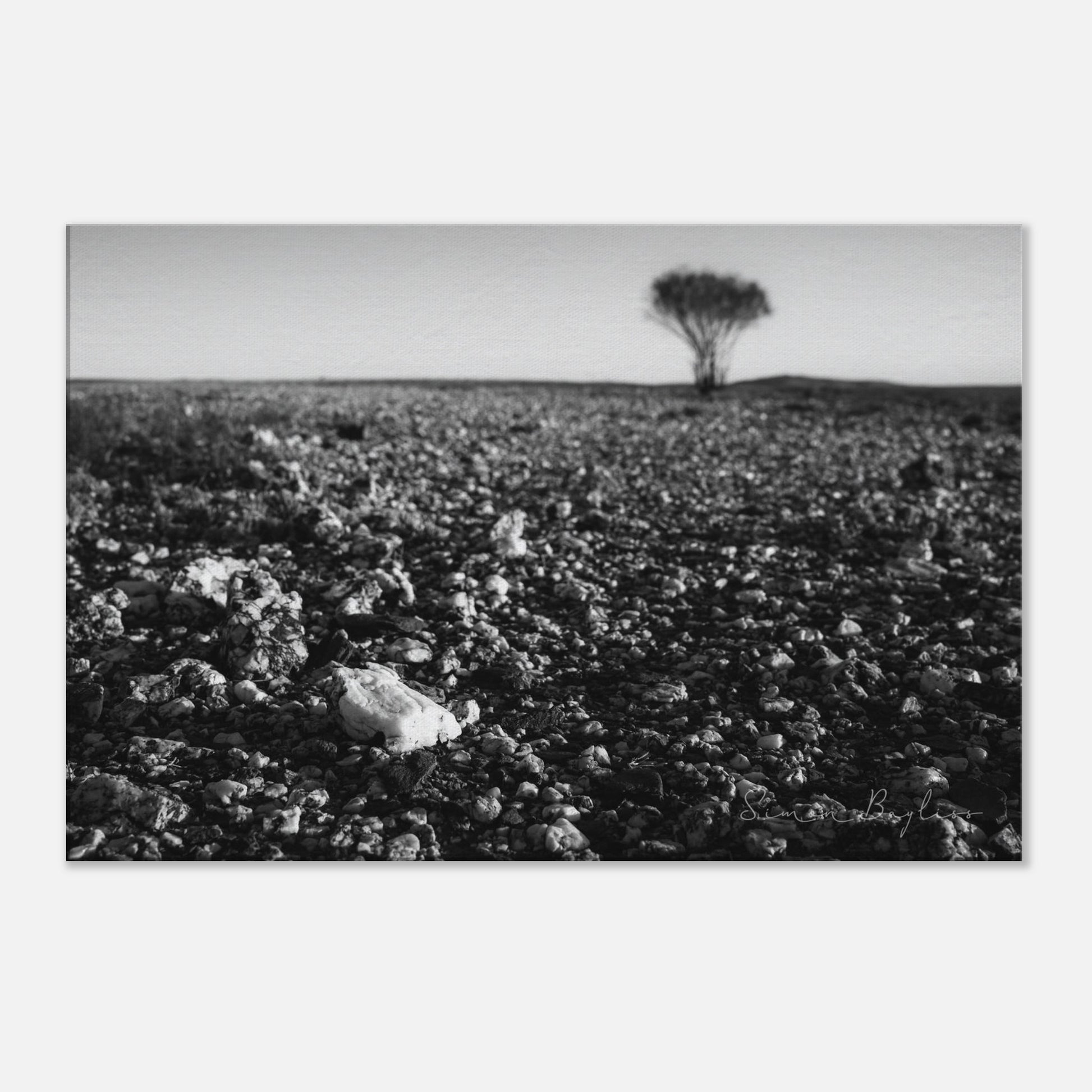 a204ee18-329d-4b49-9421-780f1b40a4ad