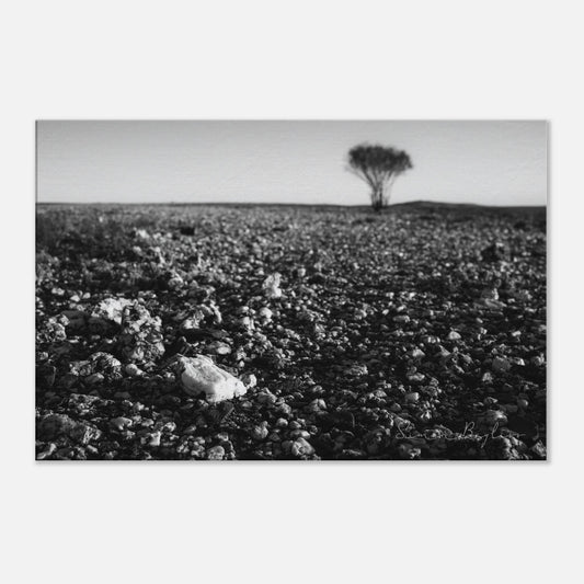 a204ee18-329d-4b49-9421-780f1b40a4ad