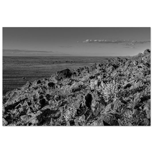 a2401c67-6a99-49fa-809c-0d40dbb5fda4