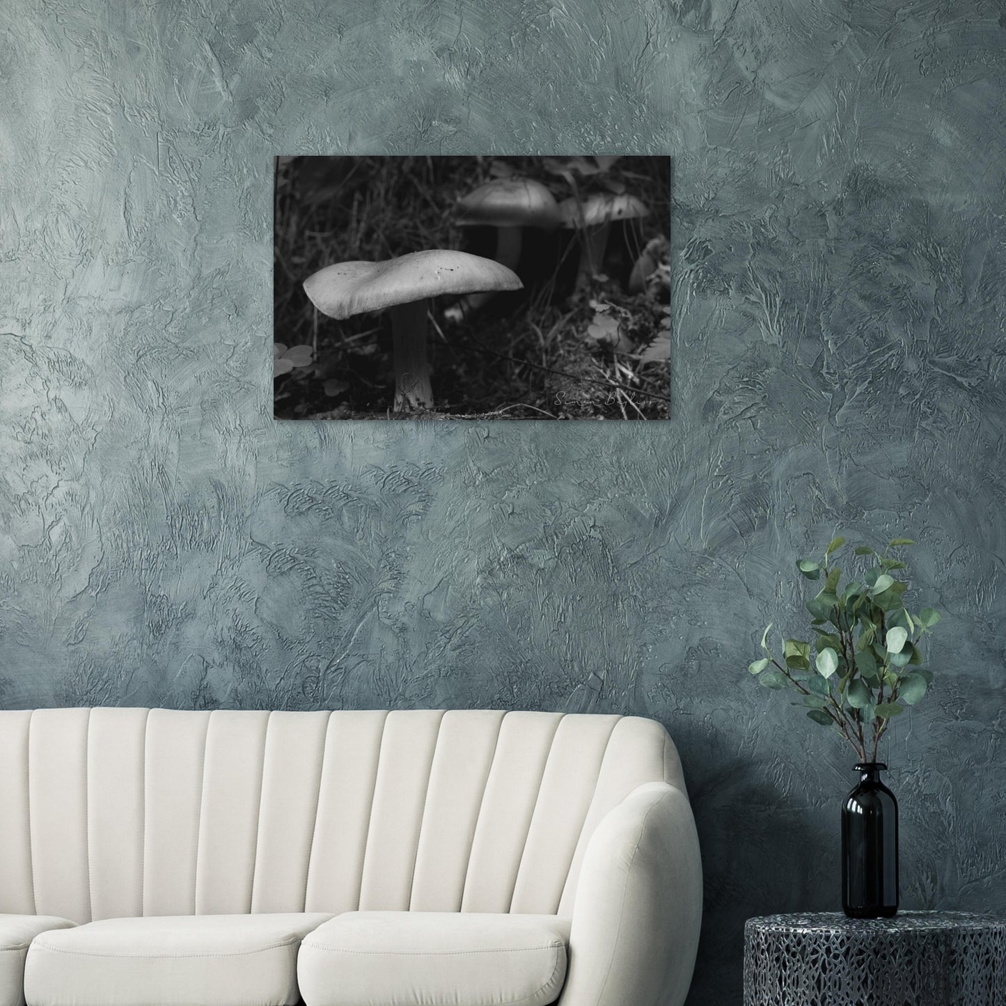 a265904c-d5f0-4d6a-bb75-9f59cf55b32a