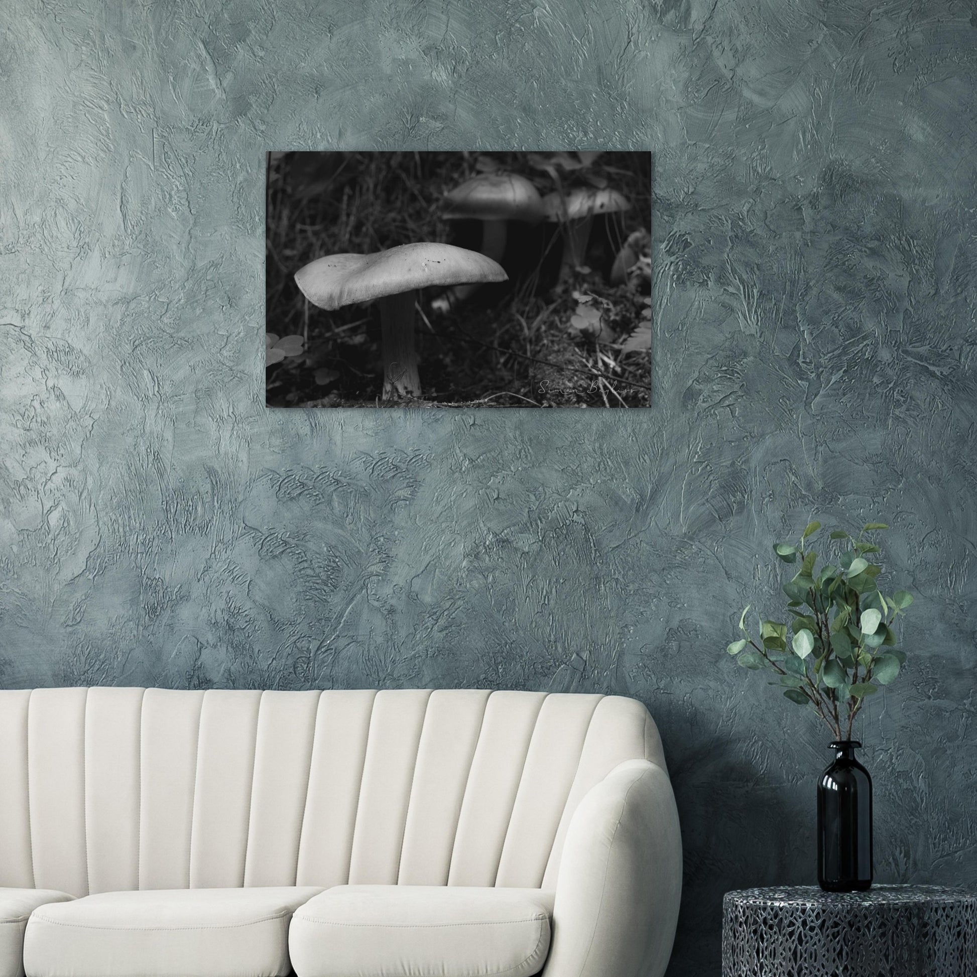 a265904c-d5f0-4d6a-bb75-9f59cf55b32a