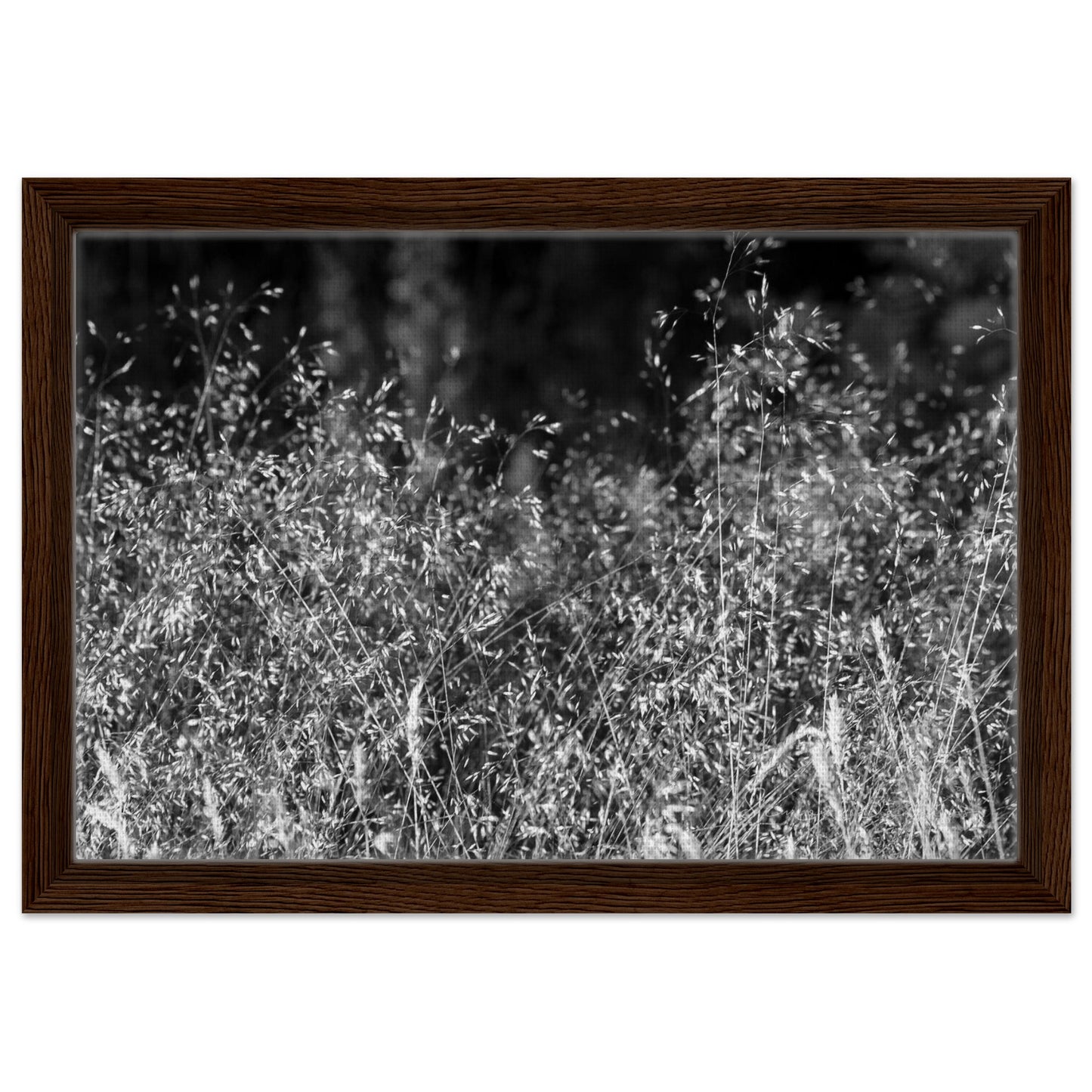 a2abbf54-46e8-40c8-82c6-eddb9216cd67