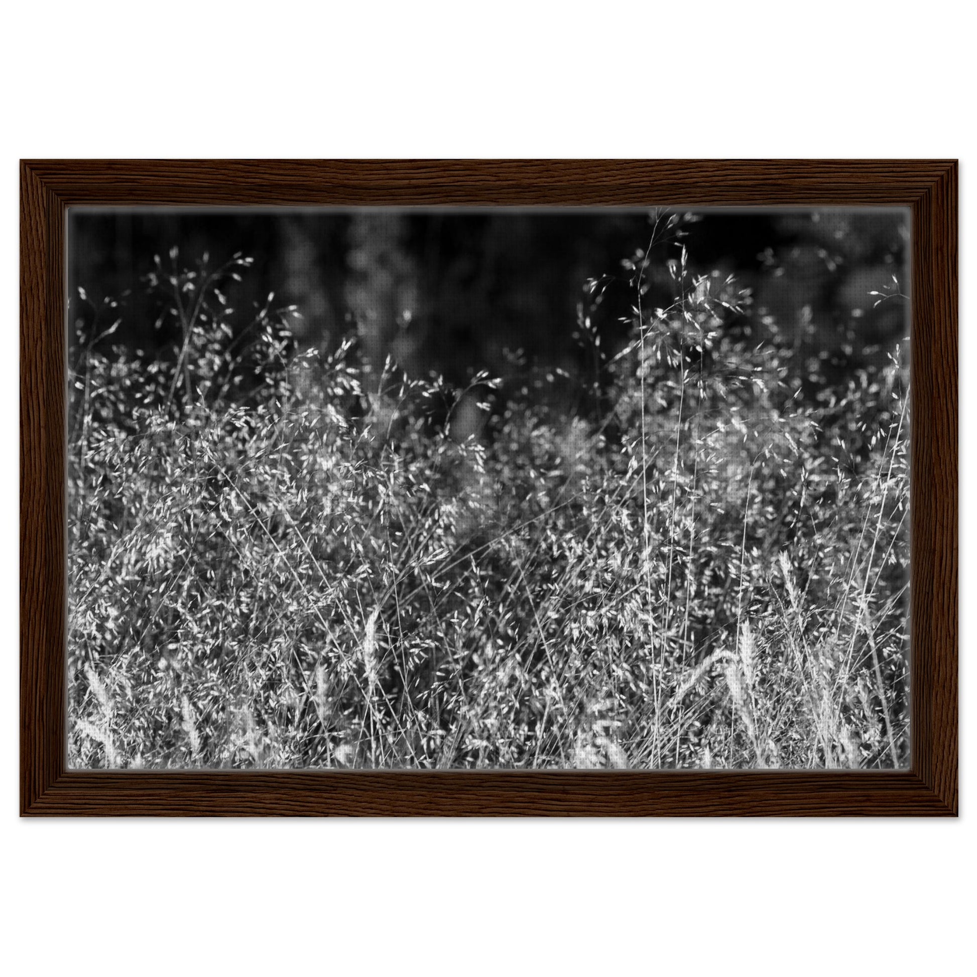 a2abbf54-46e8-40c8-82c6-eddb9216cd67