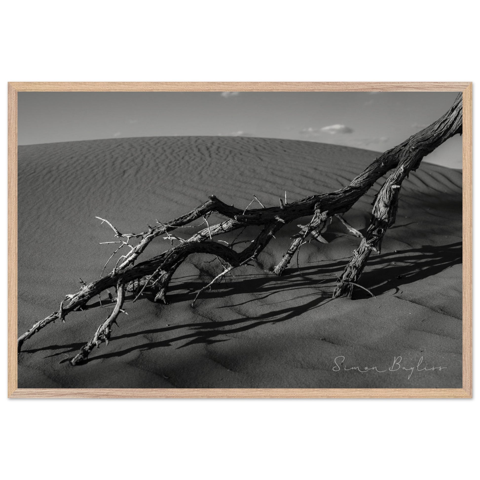 a2b3950d-0687-40f2-be78-808a9a1baad0