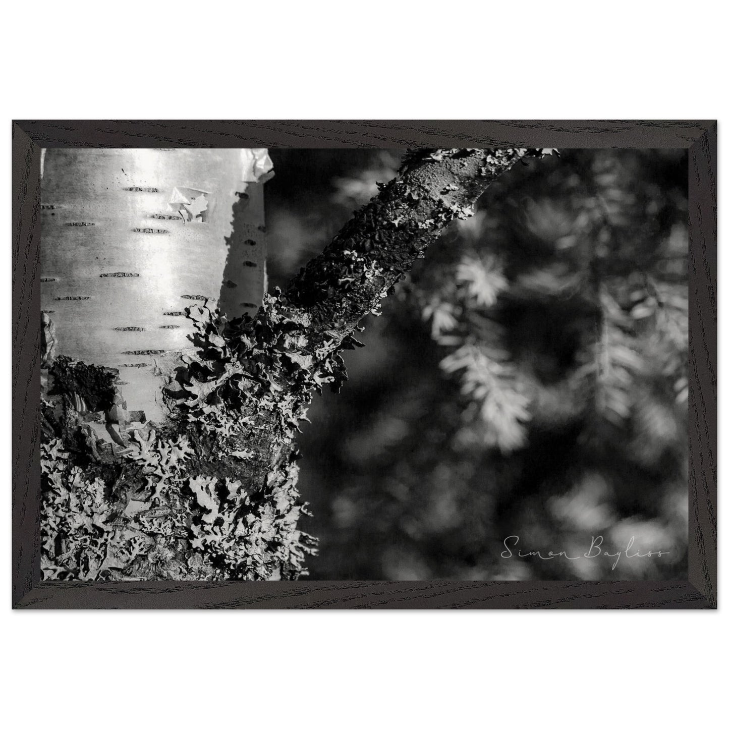 a329b00e-739d-489b-9b36-bf0ef3a5f00f