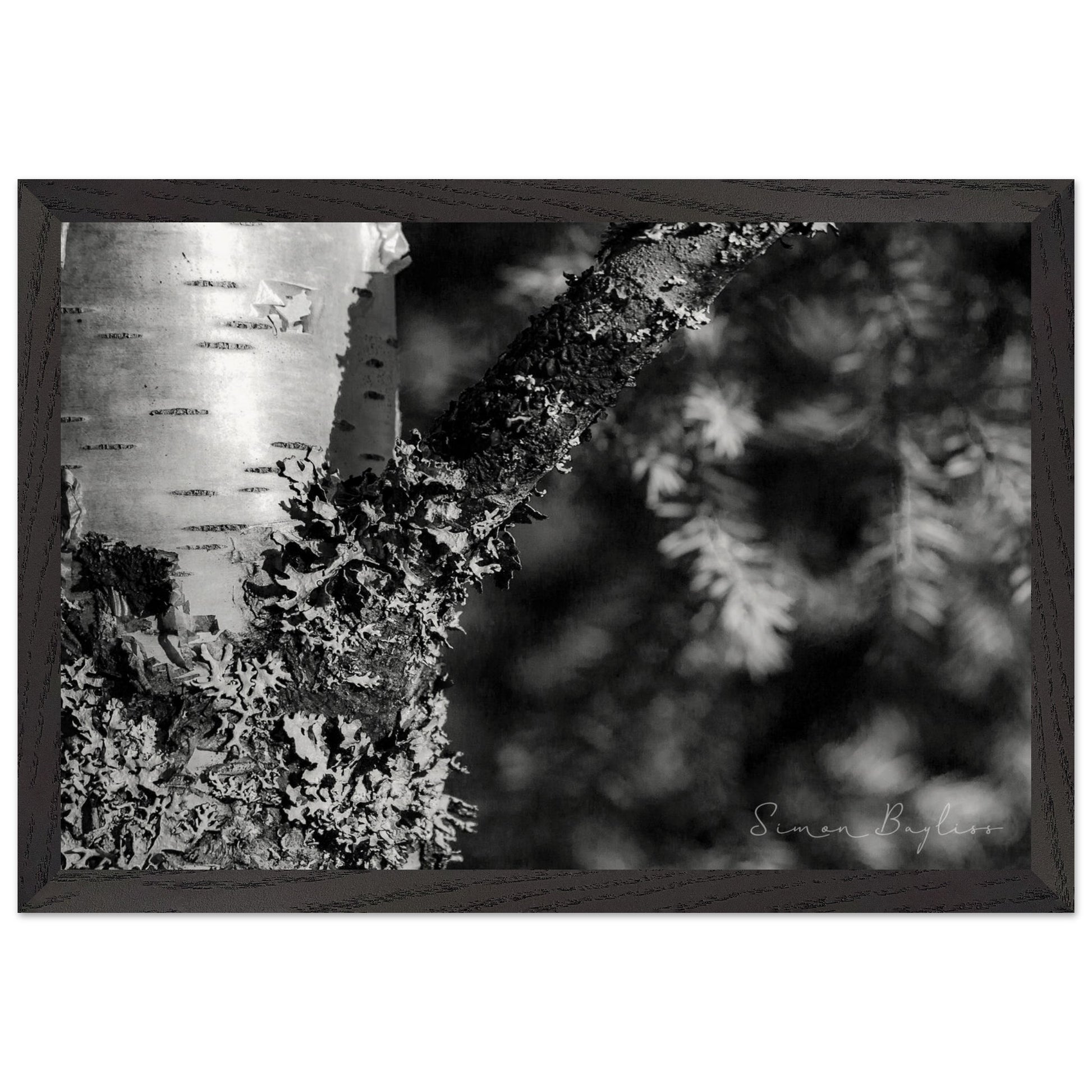 a329b00e-739d-489b-9b36-bf0ef3a5f00f