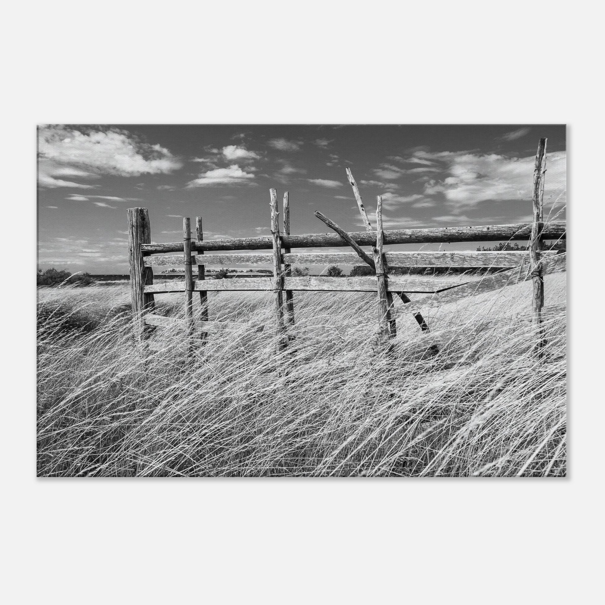 a38a6974-6f8b-4138-ba01-1579a2ea4342