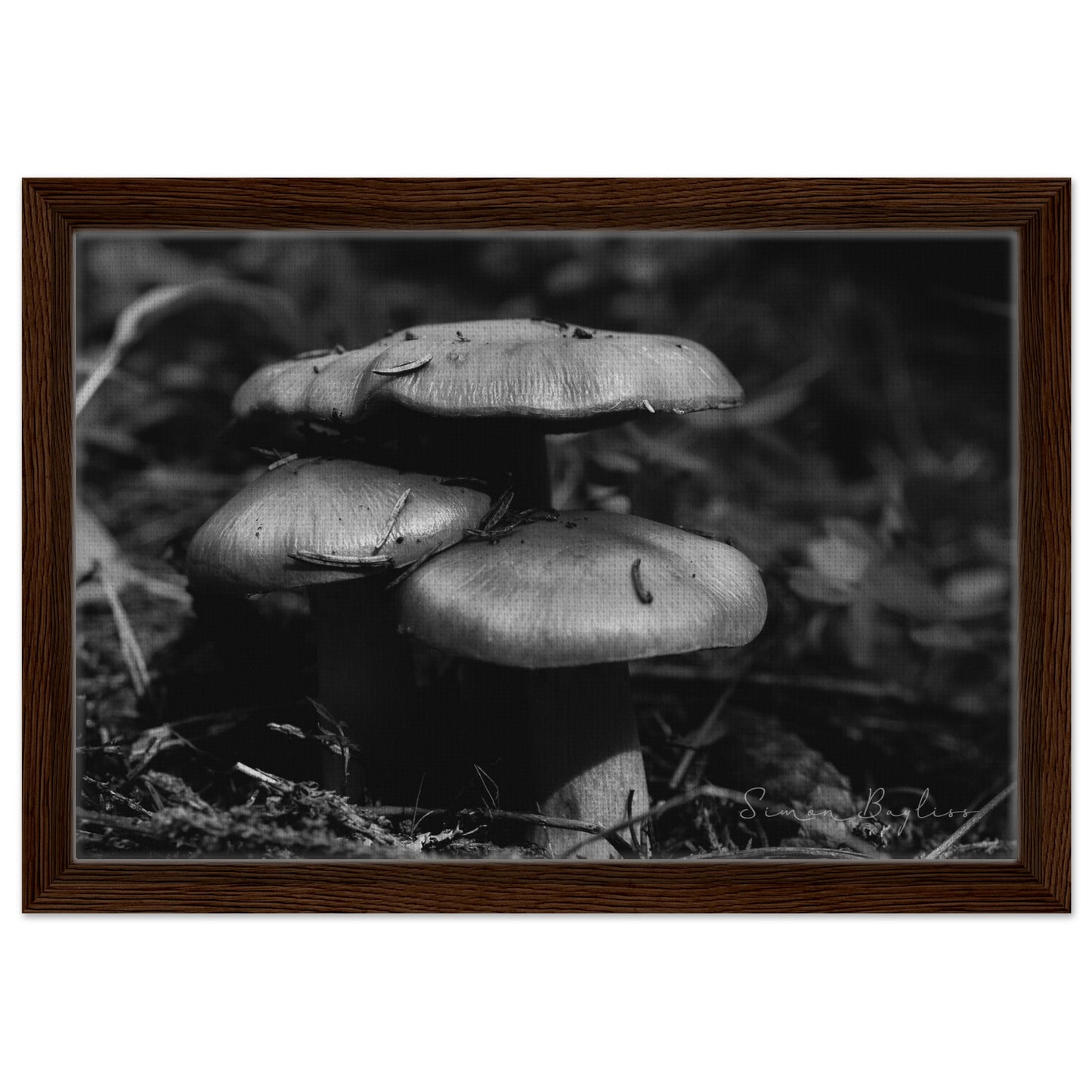 a3d538f1-8eef-4631-bfaf-344d078f048e