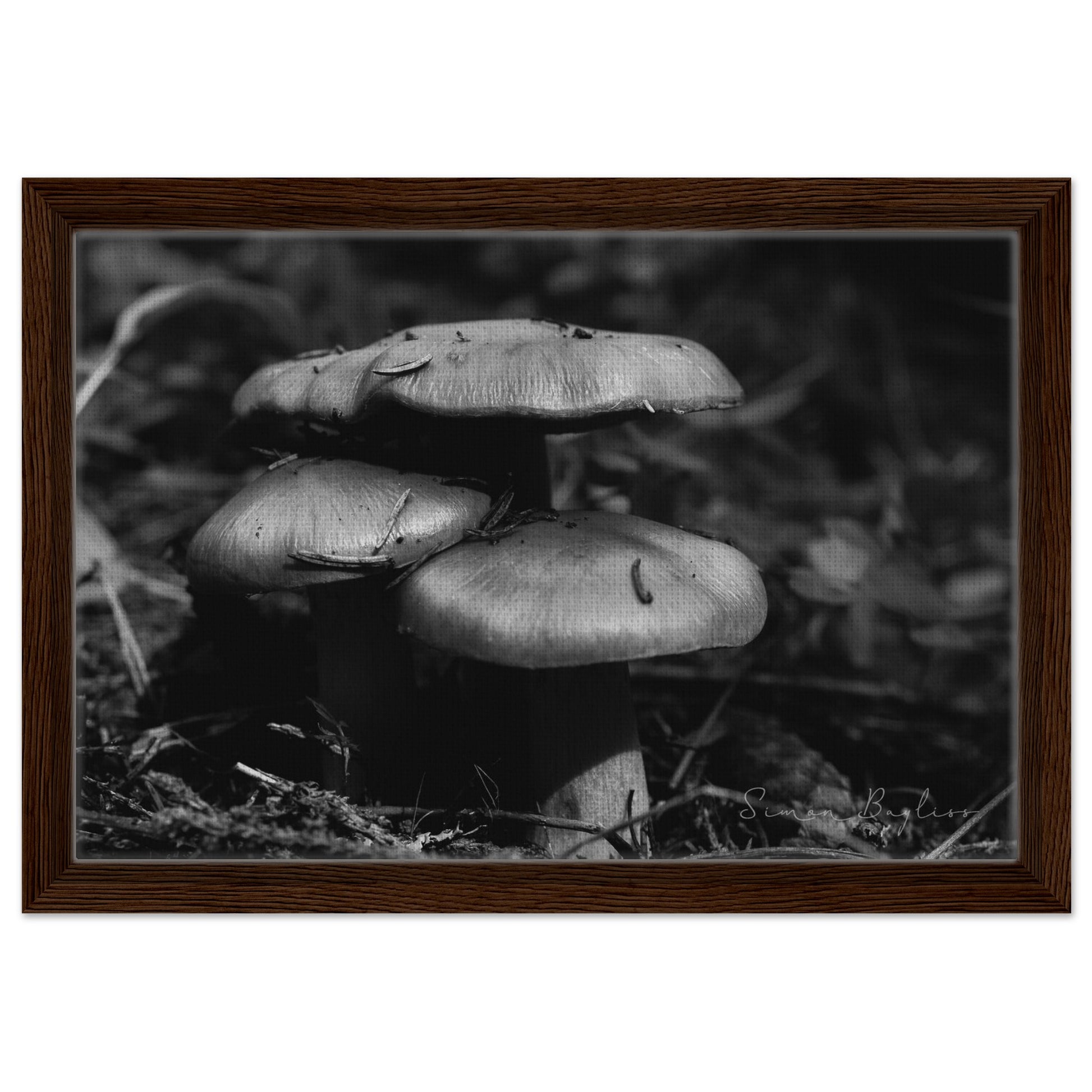 a3d538f1-8eef-4631-bfaf-344d078f048e