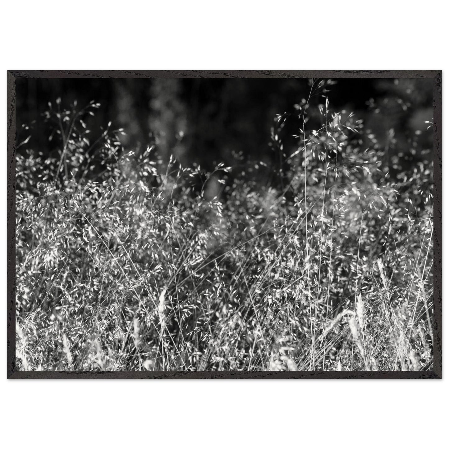 a3f5ff0b-faf2-46dc-9d5d-2cb1ab8daca2