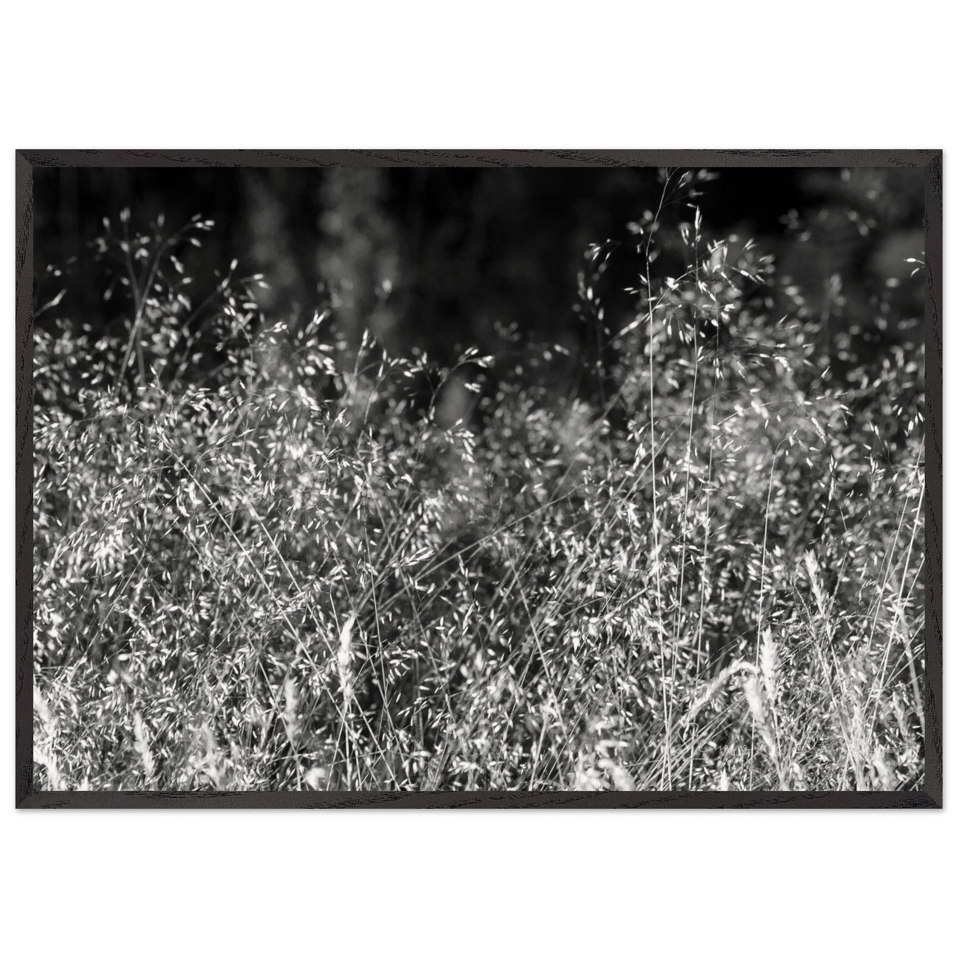 a3f5ff0b-faf2-46dc-9d5d-2cb1ab8daca2