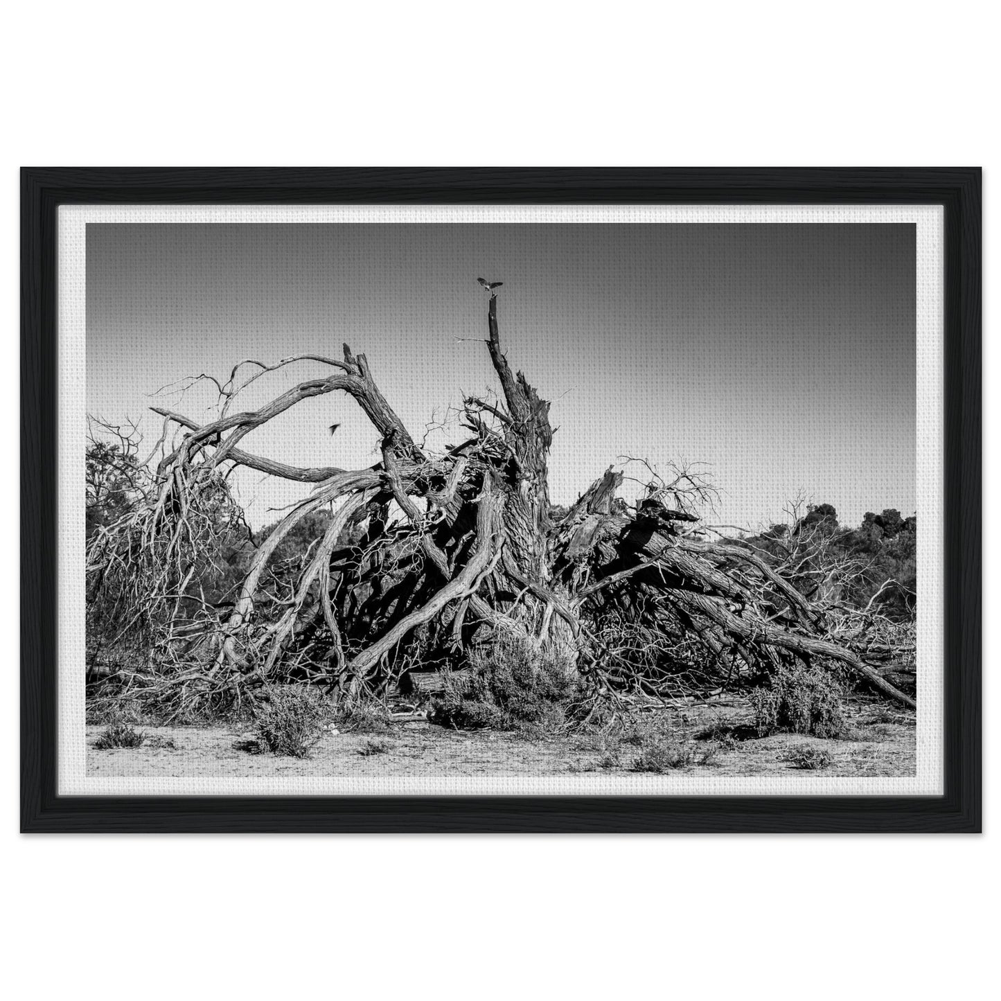 a4270cb3-a6a5-41fd-a613-c9f589e4c479