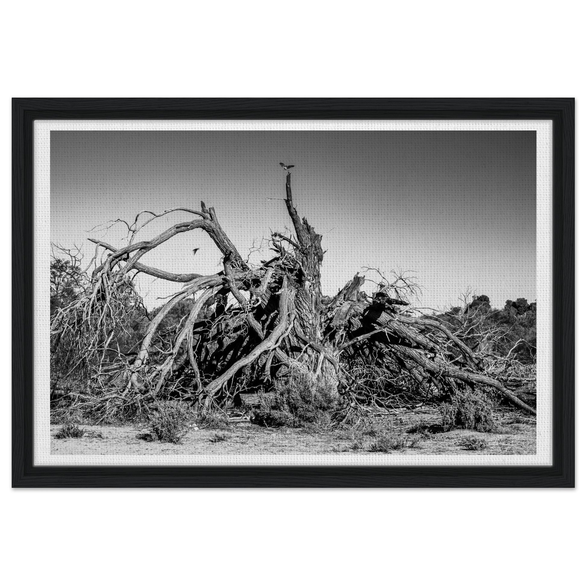 a4270cb3-a6a5-41fd-a613-c9f589e4c479