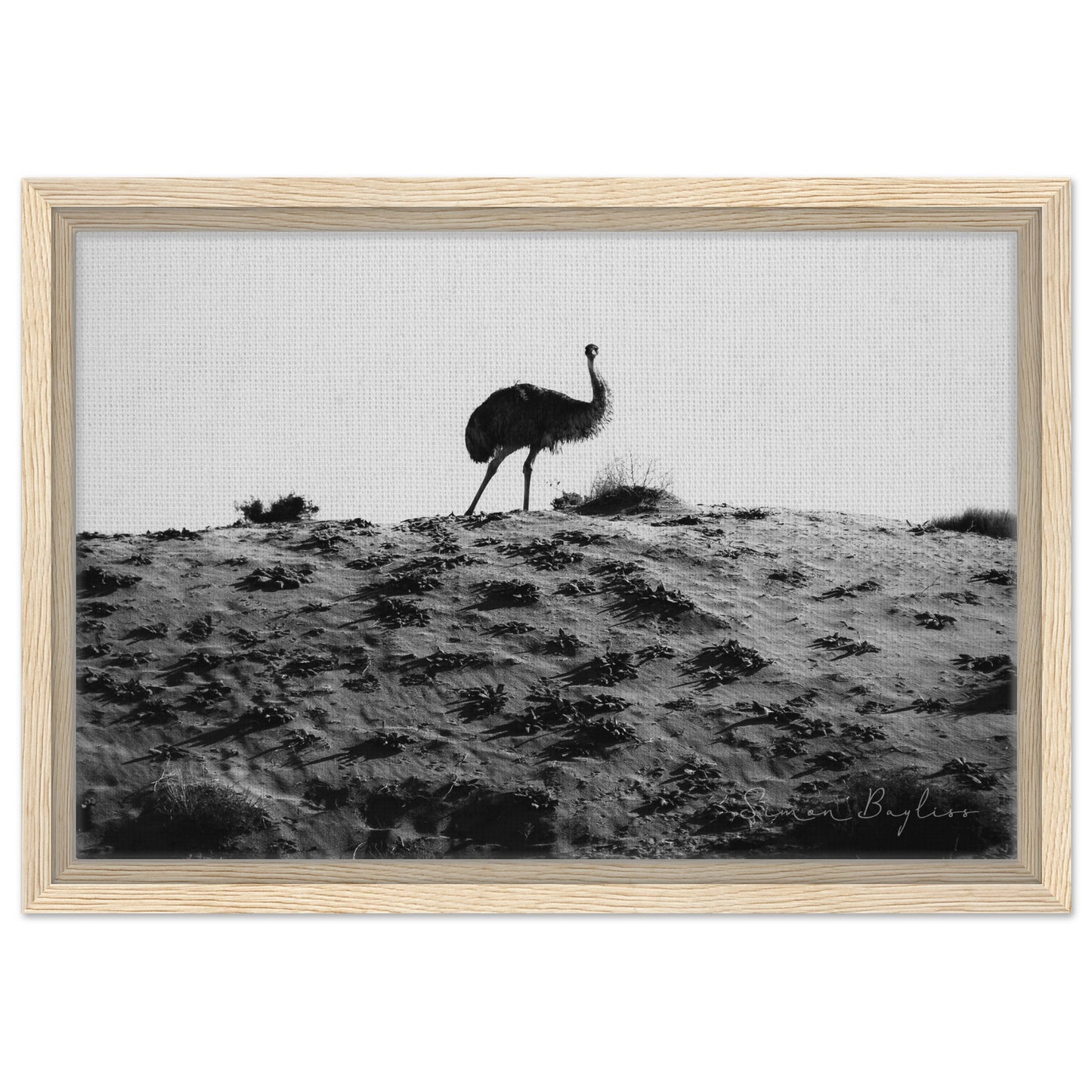 a43c9ade-5e0b-4dfa-ad51-a7316965a409