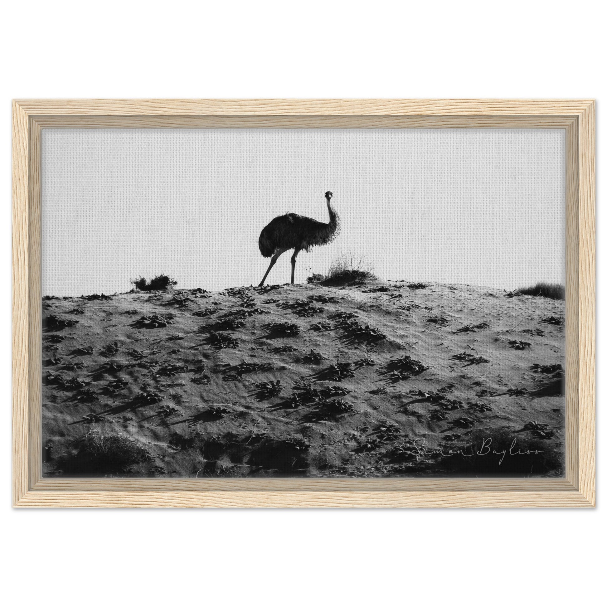 a43c9ade-5e0b-4dfa-ad51-a7316965a409