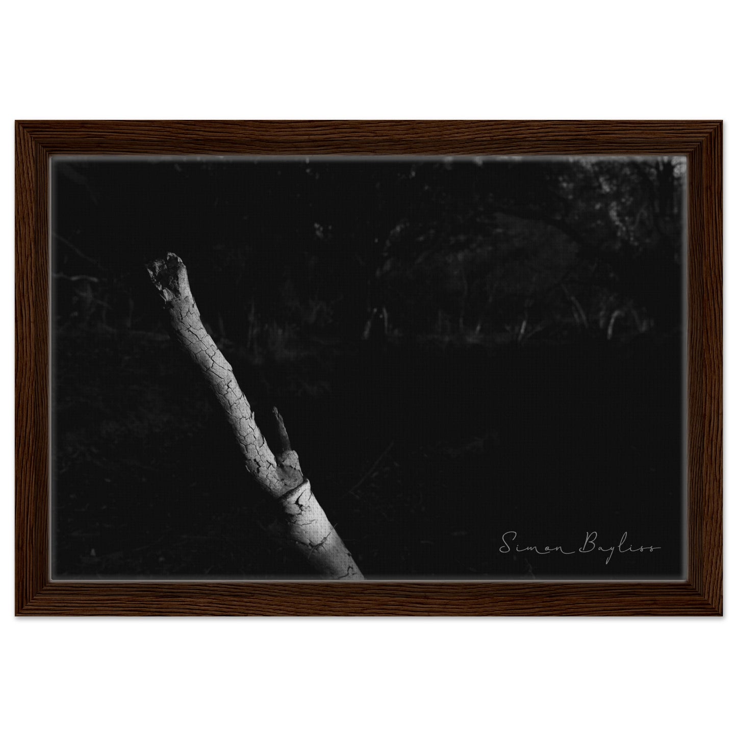 a444caa2-e3b3-4499-9344-e43b6e57fdac