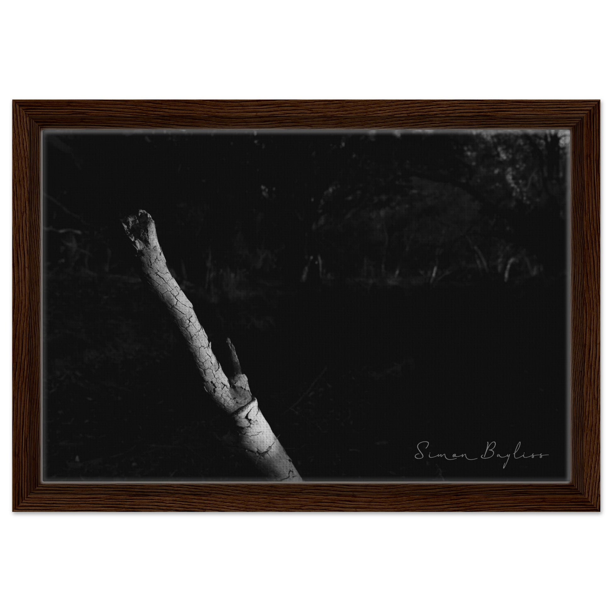 a444caa2-e3b3-4499-9344-e43b6e57fdac