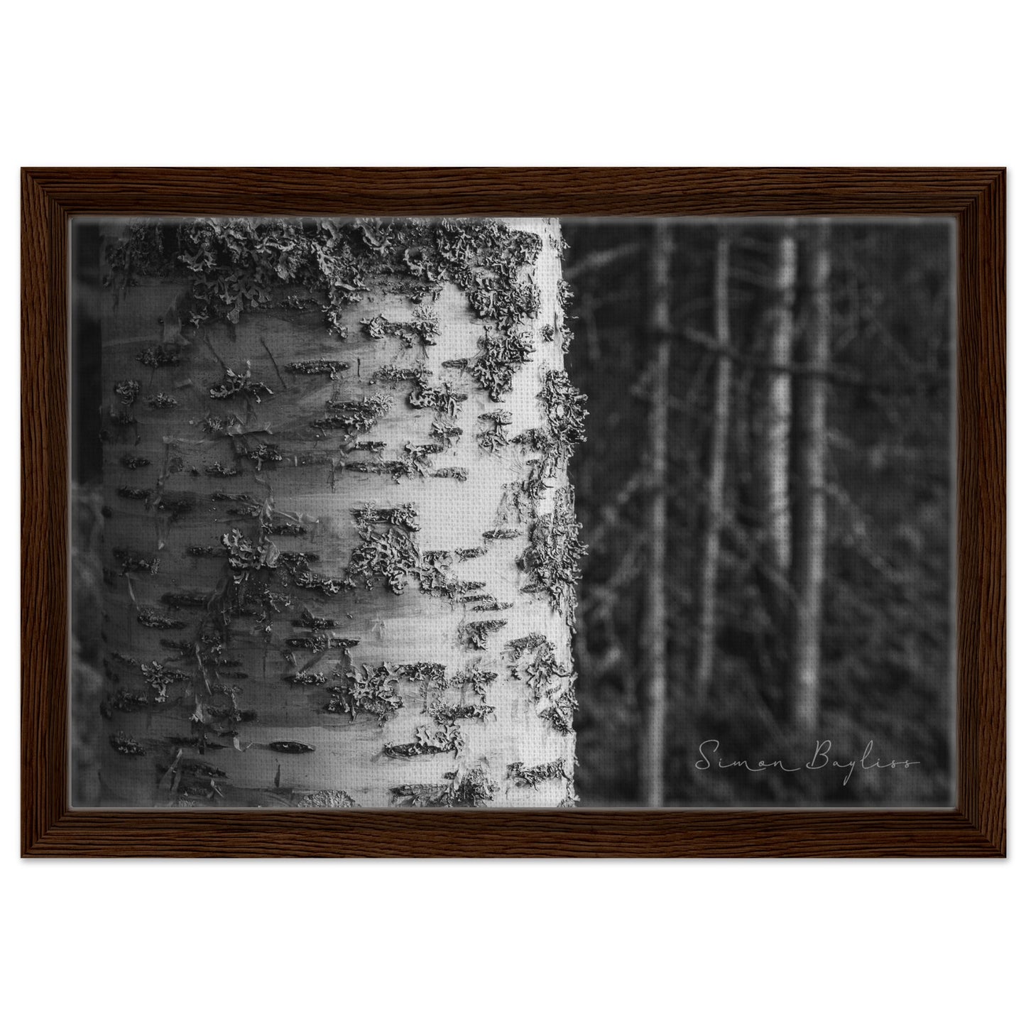 a4731fa2-a34e-4a84-9695-be761fd64c05