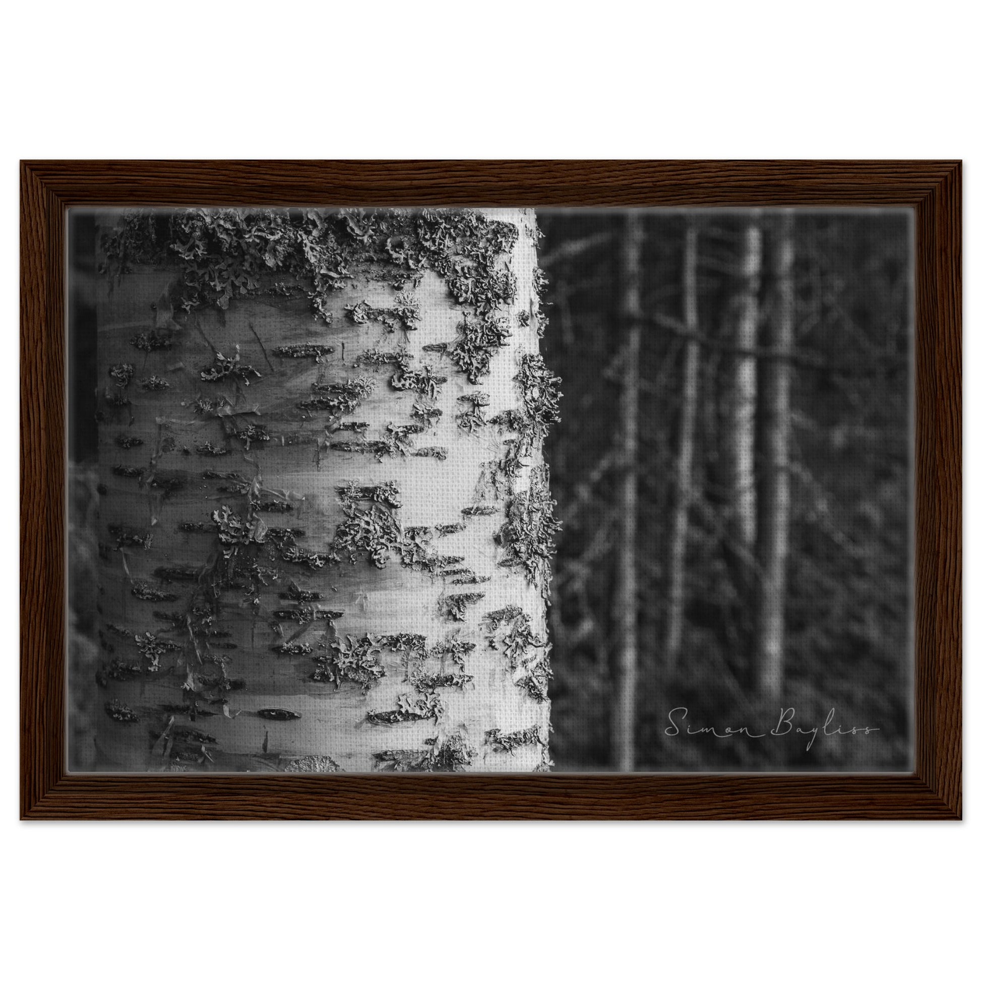 a4731fa2-a34e-4a84-9695-be761fd64c05