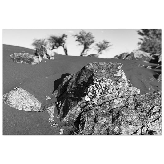 a47e7f5c-08cd-411c-8346-83dd5cdd819f