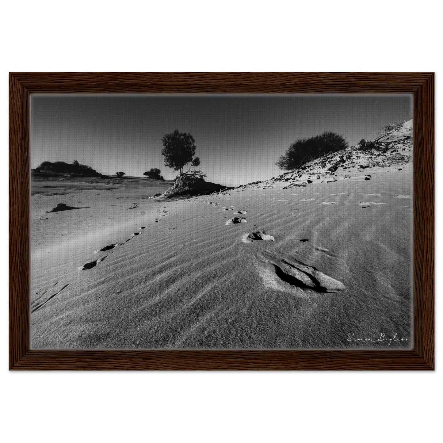 a4b742f4-fc30-417f-8e9c-b34f8d64ac27