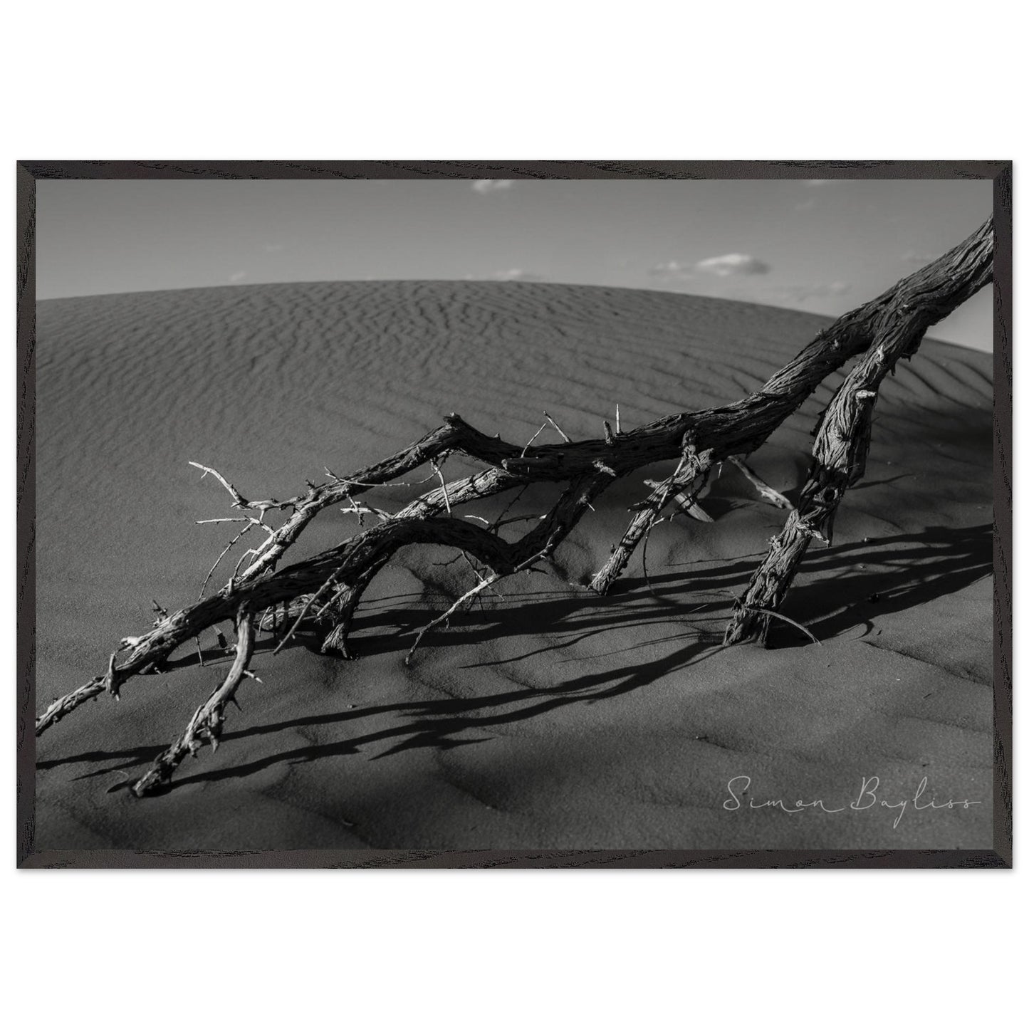 a4b7b824-ba23-4be3-a196-0965201486d1