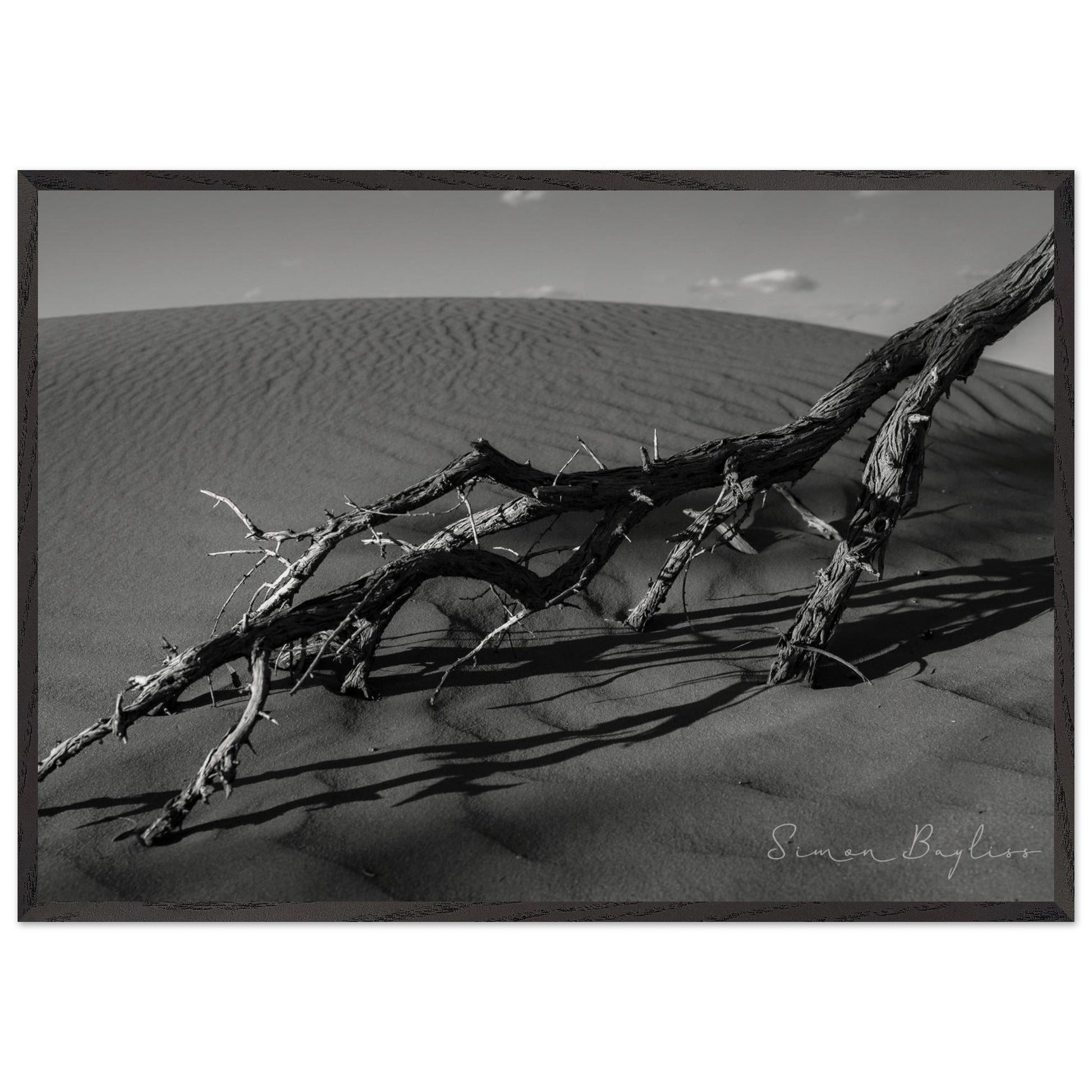 a4b7b824-ba23-4be3-a196-0965201486d1