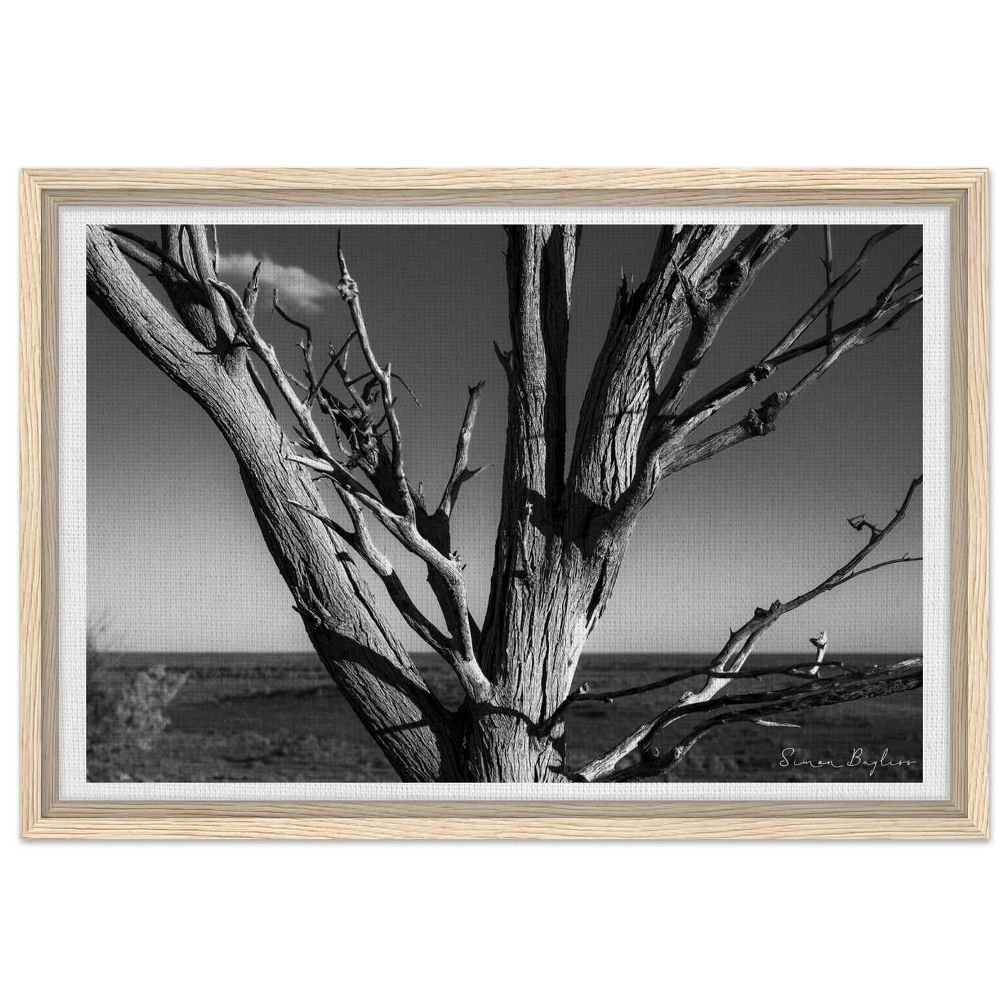 a7124ef0-6fe3-4f71-a9af-1ba26f55b05e