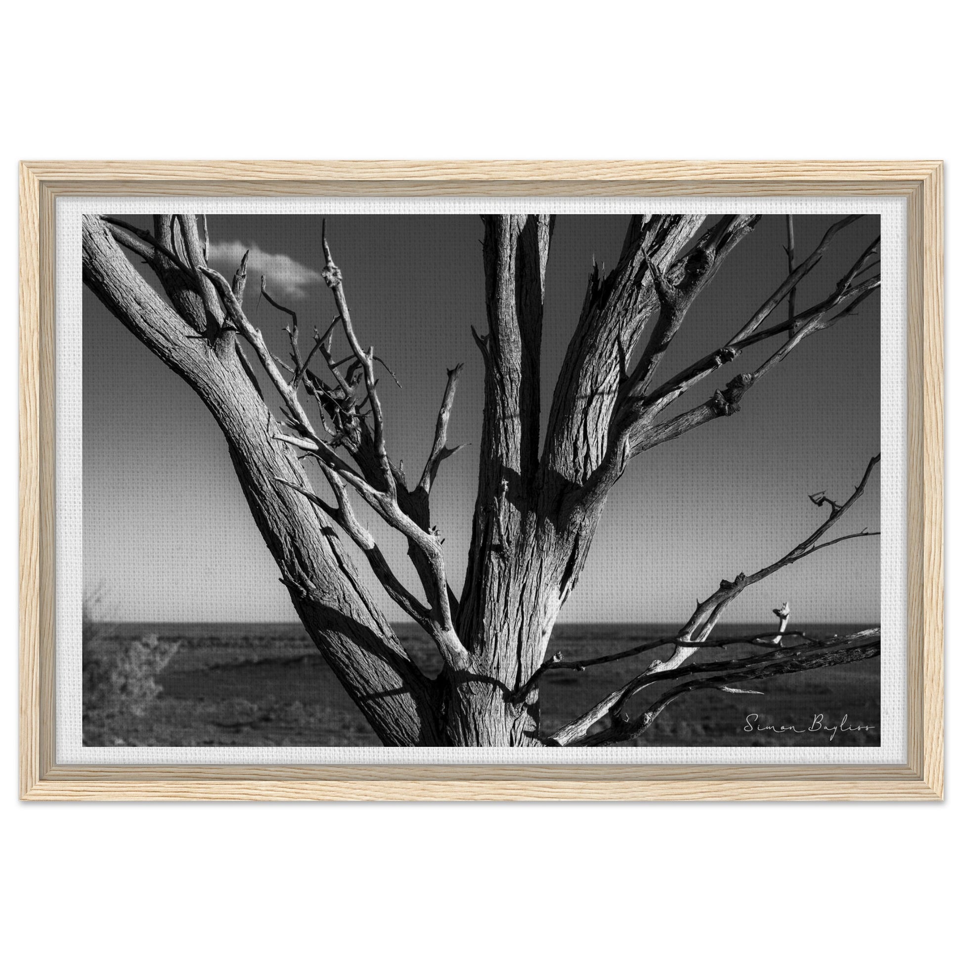 a7124ef0-6fe3-4f71-a9af-1ba26f55b05e