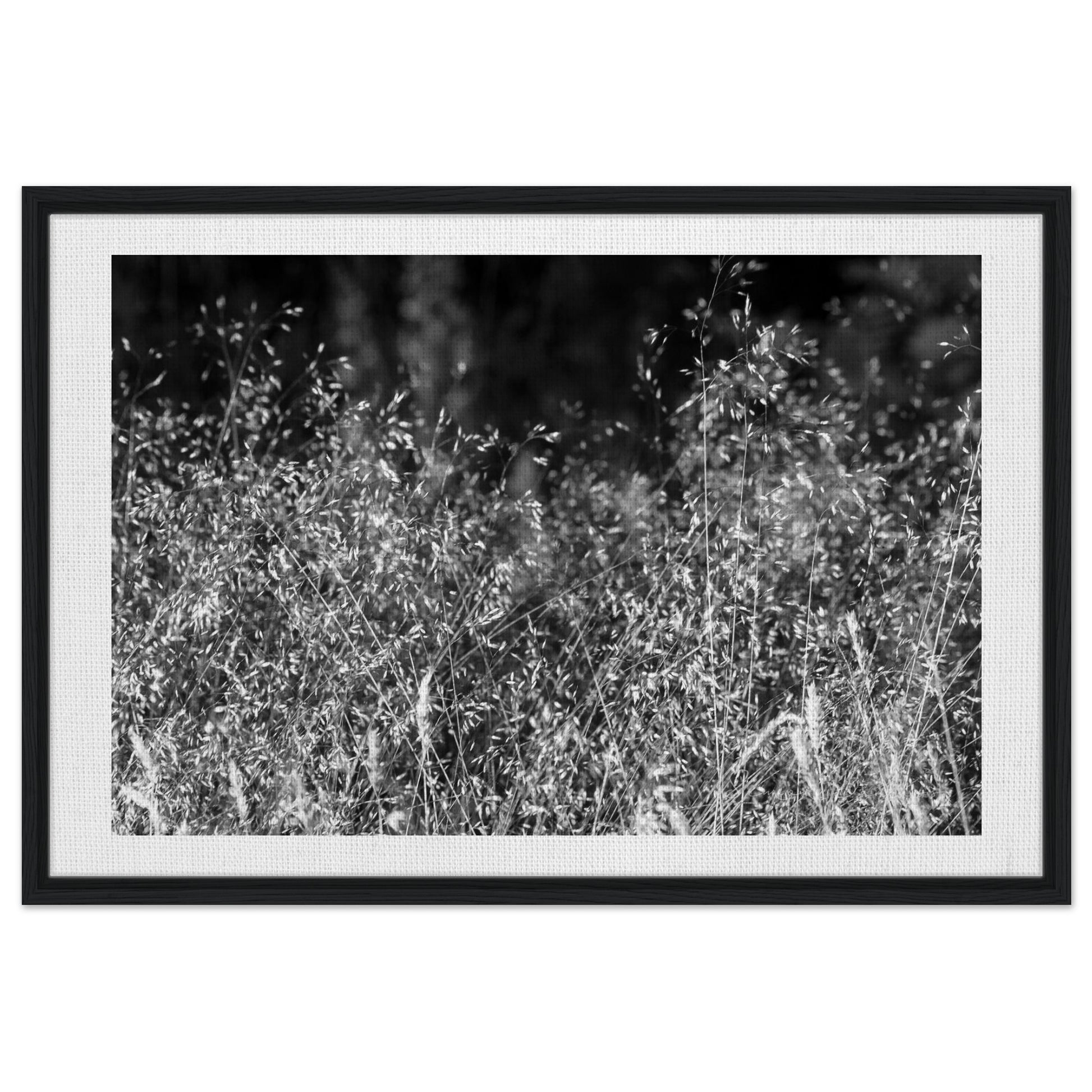 a75b4366-e335-431c-9b0a-5117e047a95b