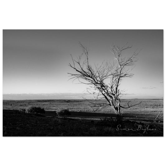 a7ce0015-d40a-4351-86bc-f8827877bb4a