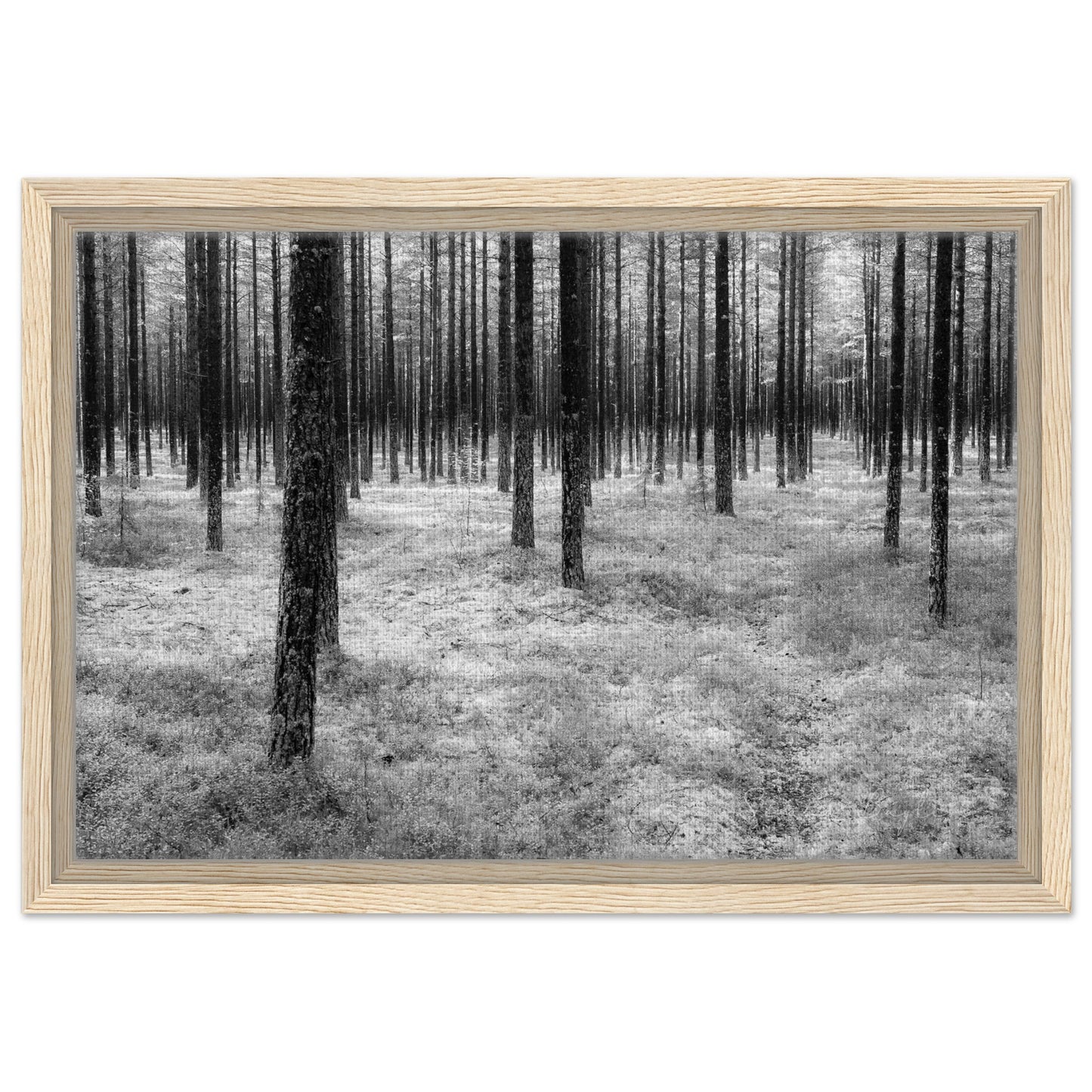 a819474e-29cb-4c58-b1bb-622040156860