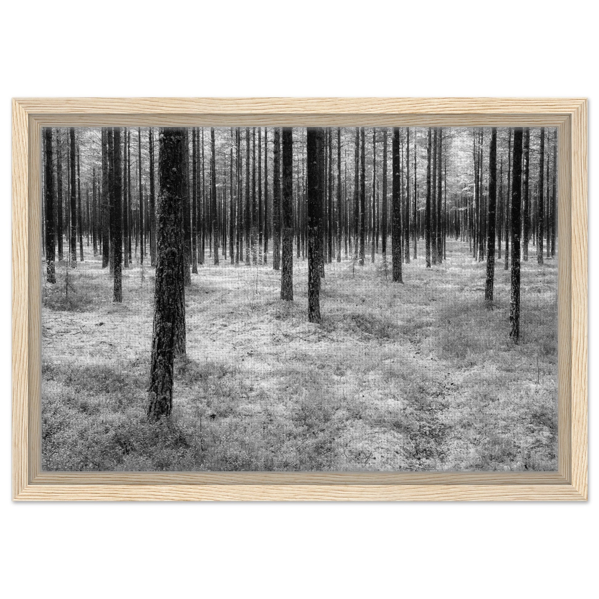 a819474e-29cb-4c58-b1bb-622040156860