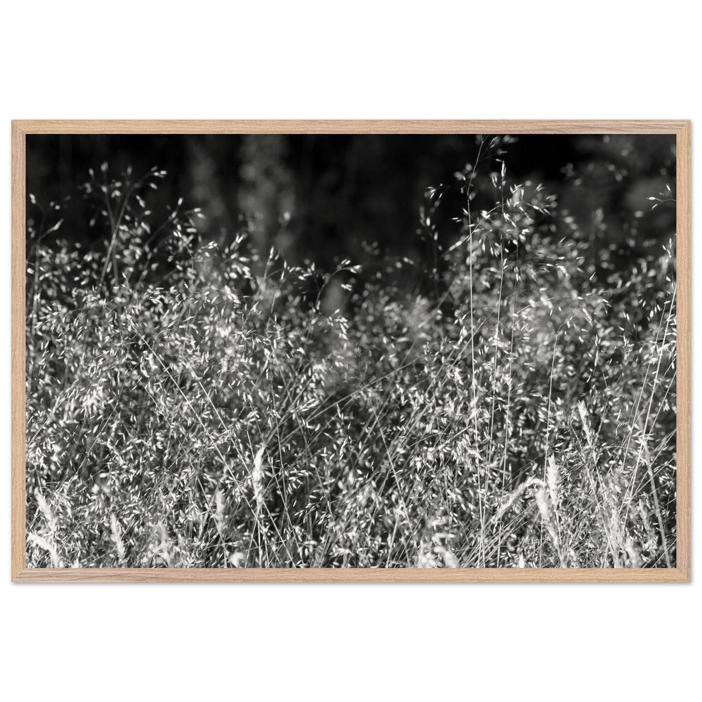 a81c1425-2a82-459f-96ea-b196f5a8b852