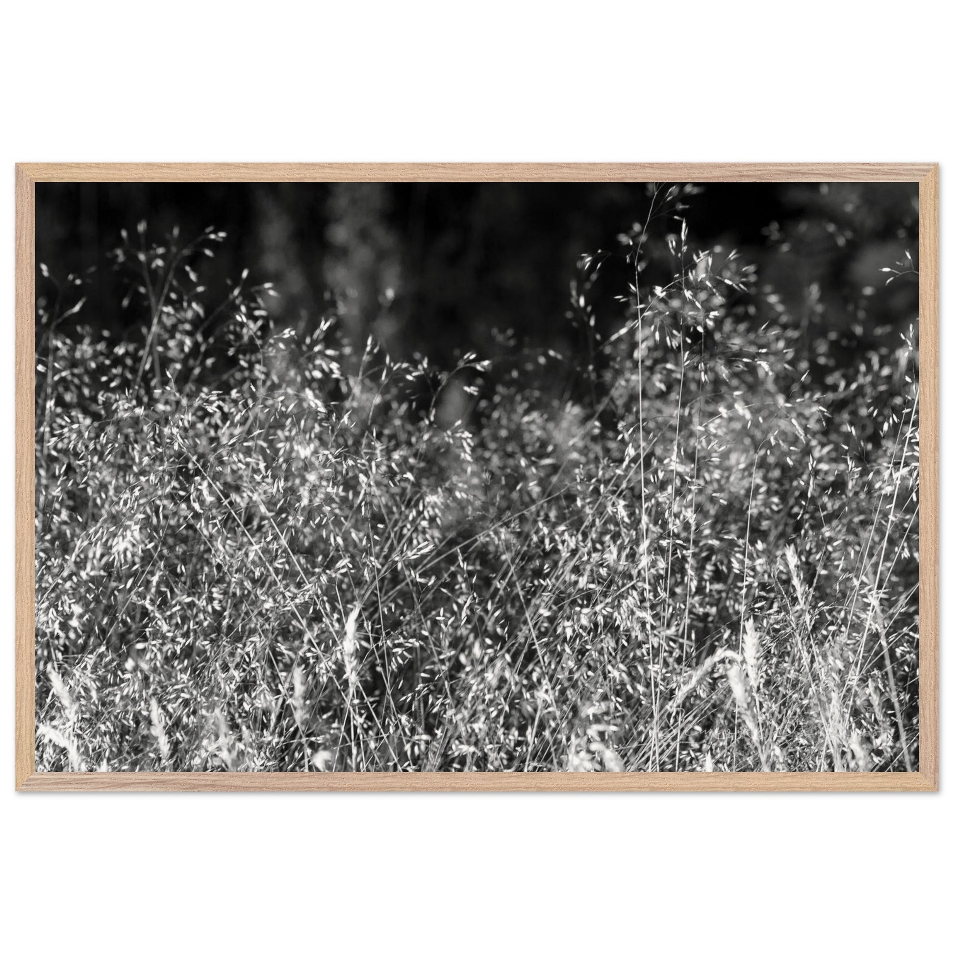 a81c1425-2a82-459f-96ea-b196f5a8b852