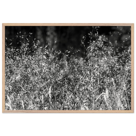 a81c1425-2a82-459f-96ea-b196f5a8b852