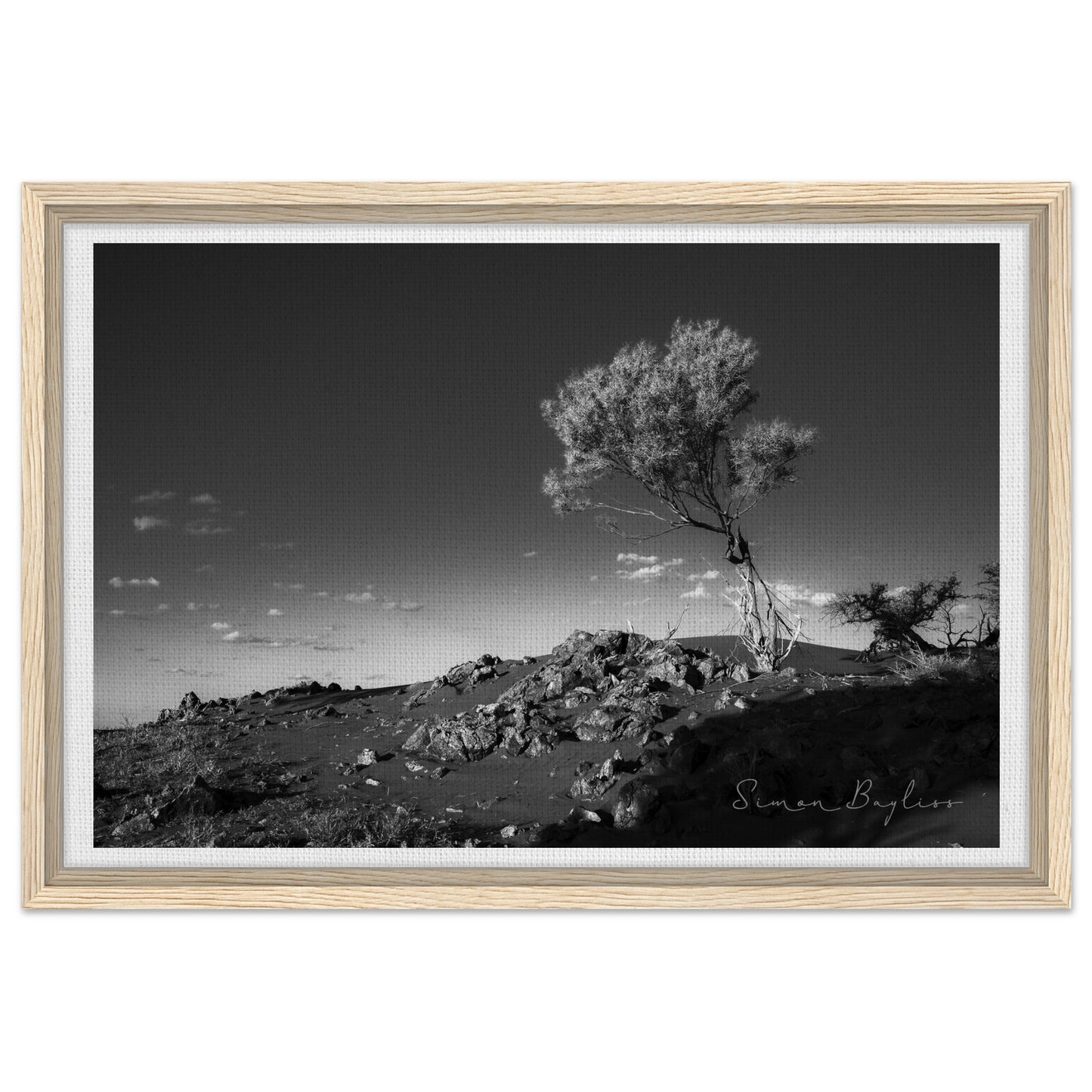 a8785848-823b-4b01-a497-9df403c437ea