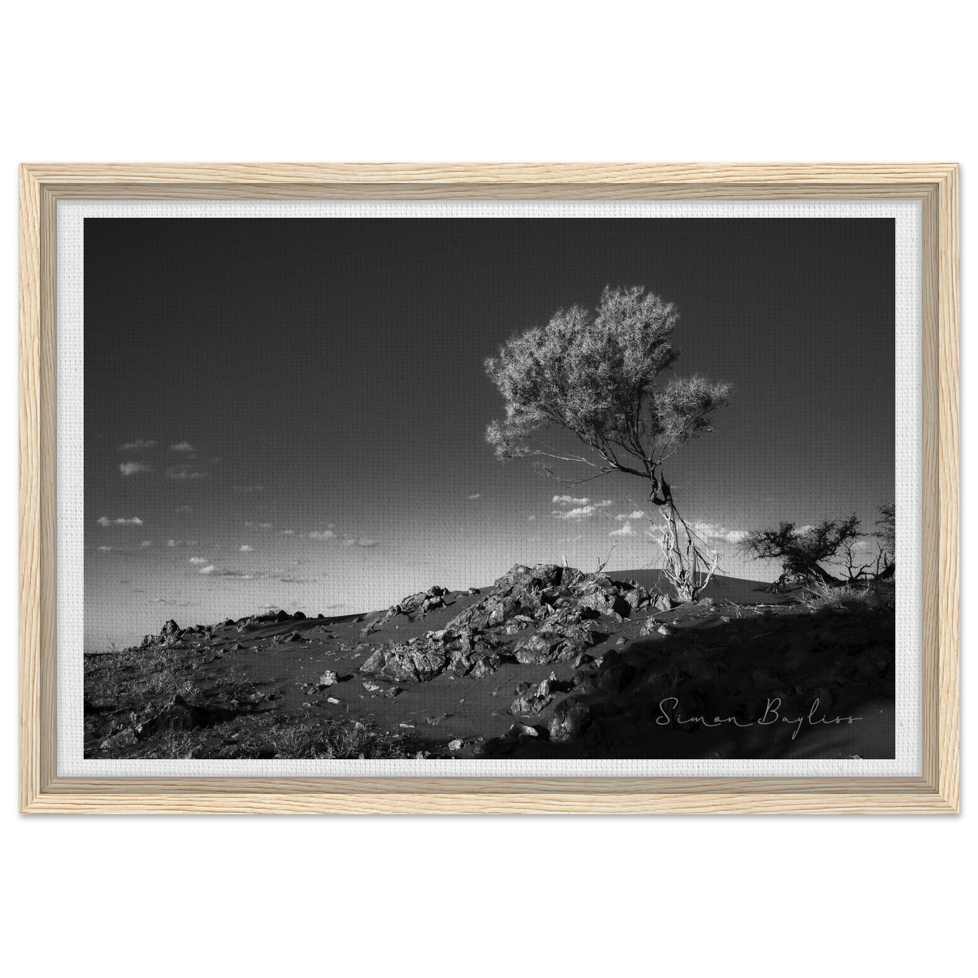 a8785848-823b-4b01-a497-9df403c437ea